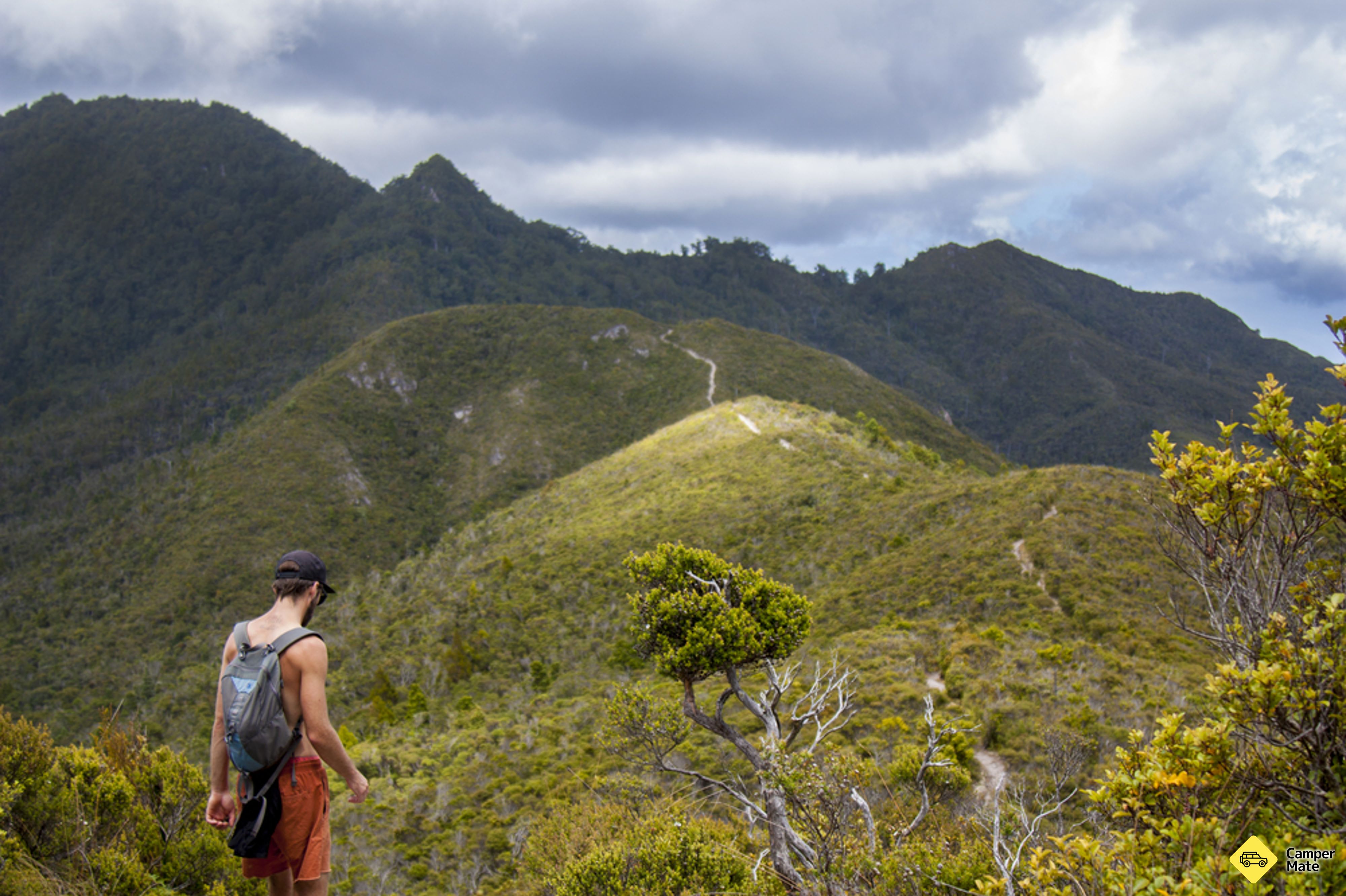 Kaiaraara Track