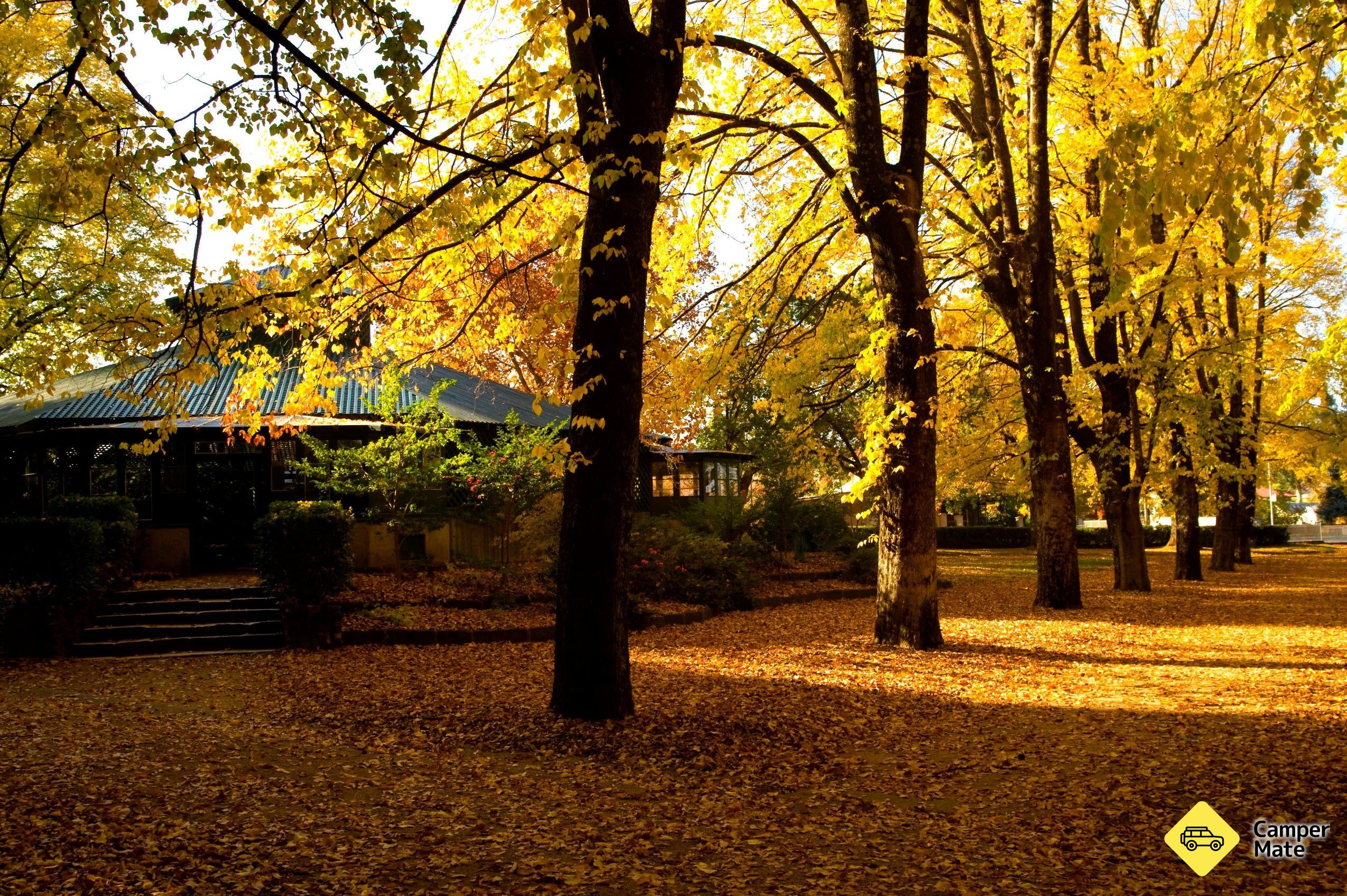 Cook Park Heritage Walk - Image 3