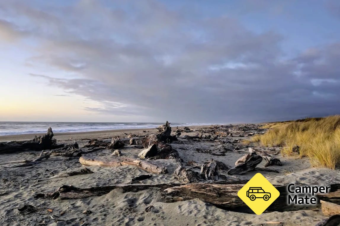 Carpark di Haast Beach, West Coast, West Coast, New Zealand ...