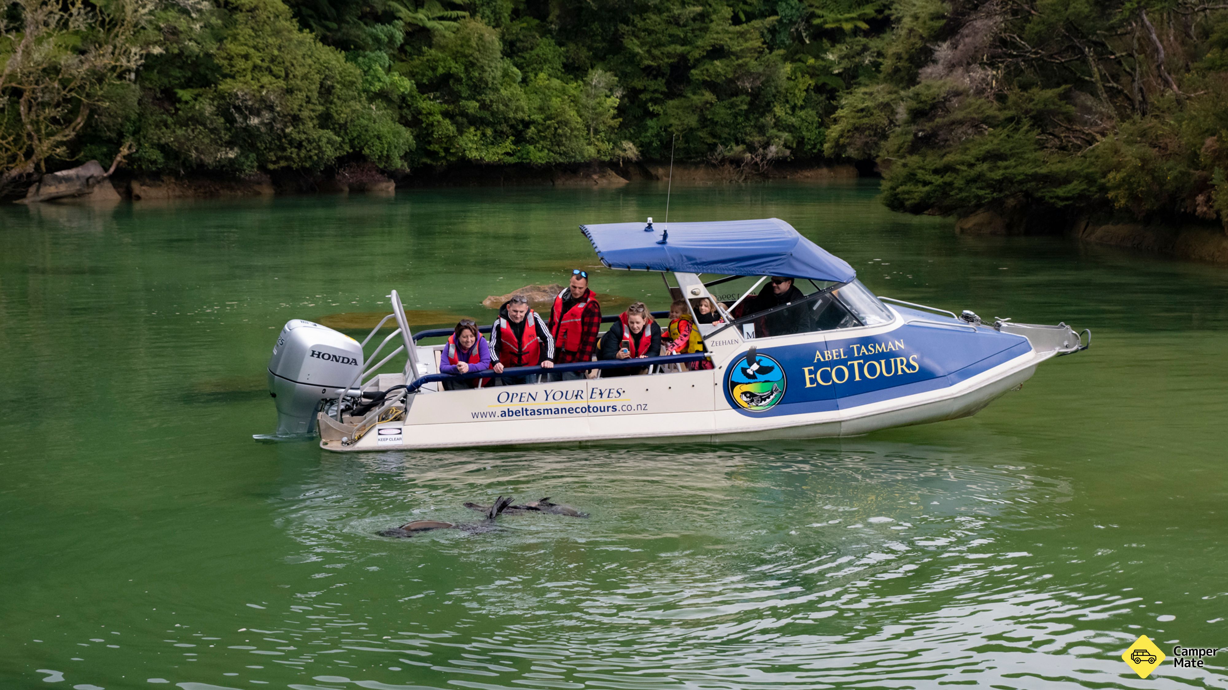 Abel Tasman Eco Tours