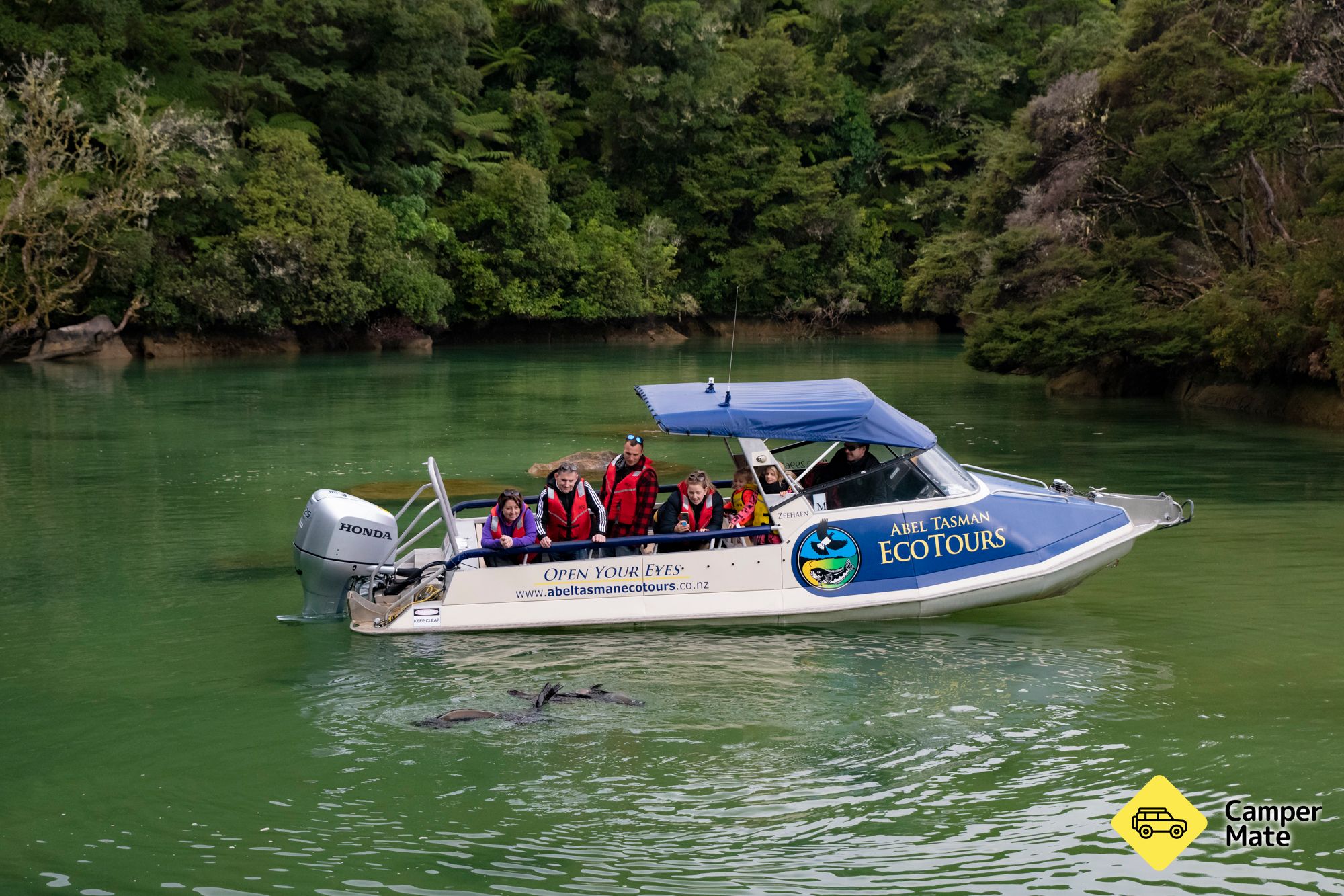 Abel Tasman Eco Tours