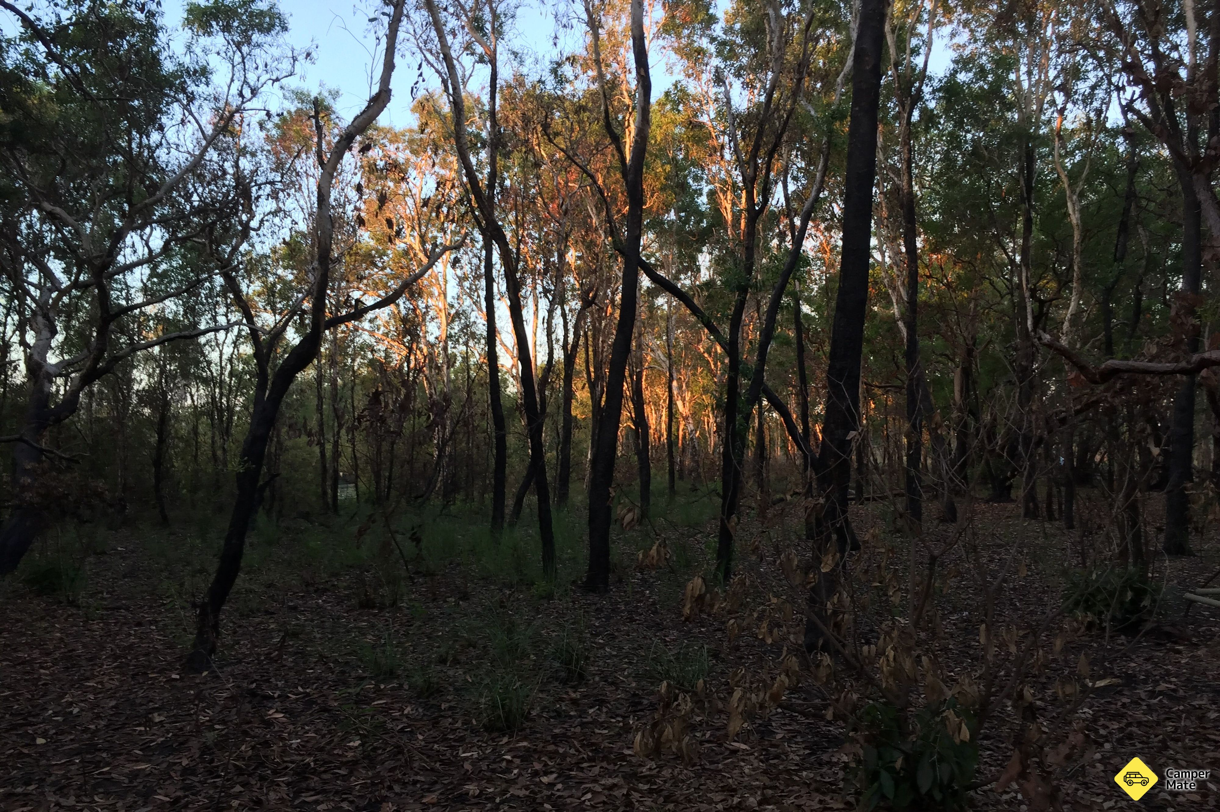 Malabanjbanjdju Camping Area - Image 2
