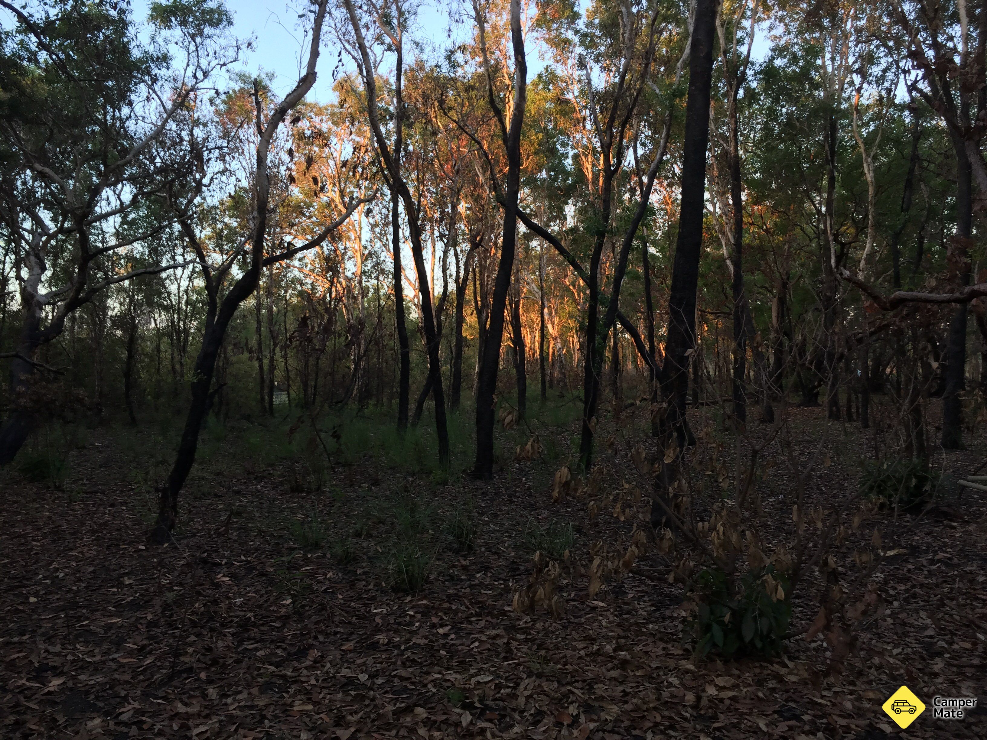 Malabanjbanjdju Camping Area - Image 2