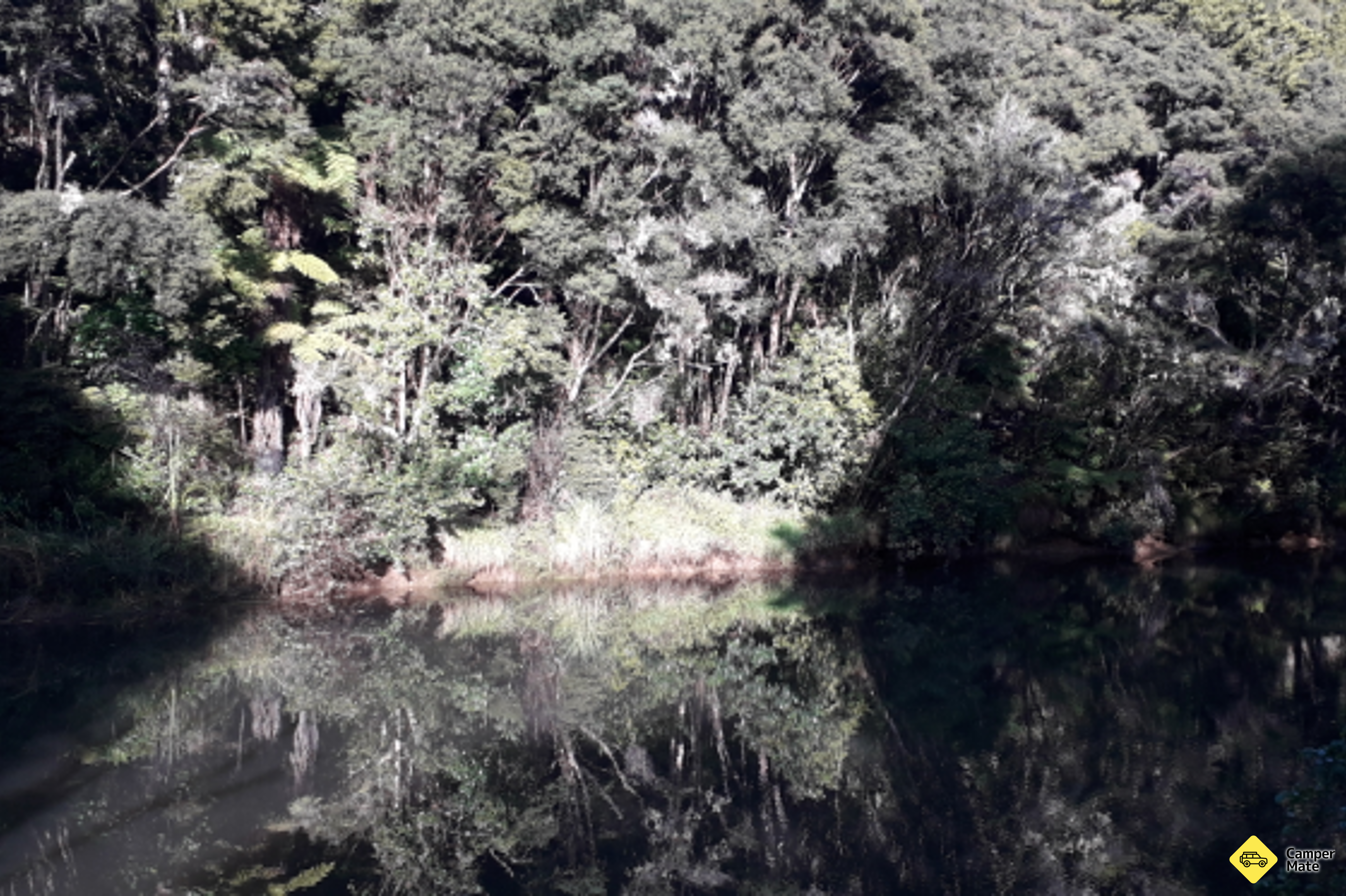 SCOW LANDING
