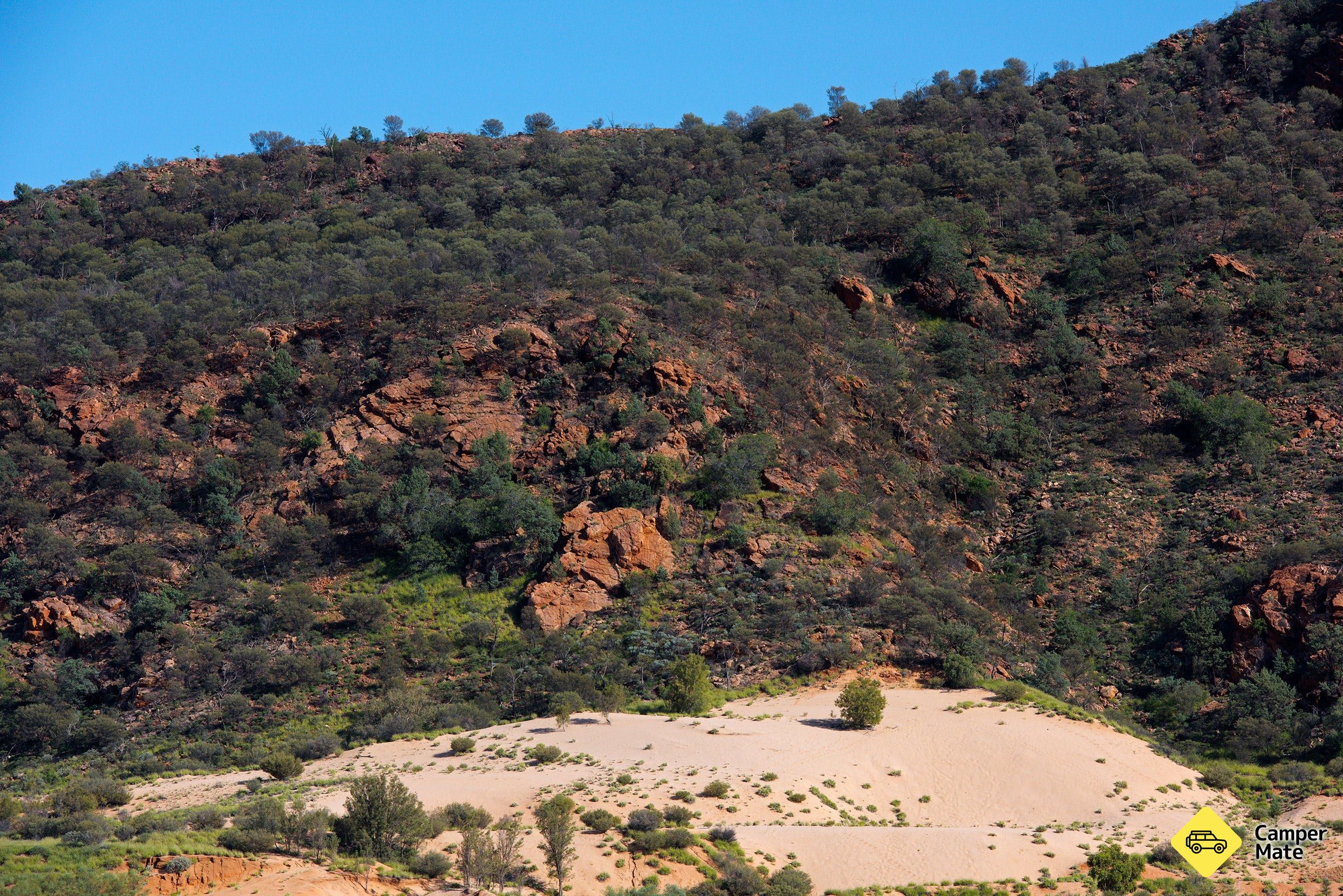 Climbing Dune Jesse Emily Gap - Image 3