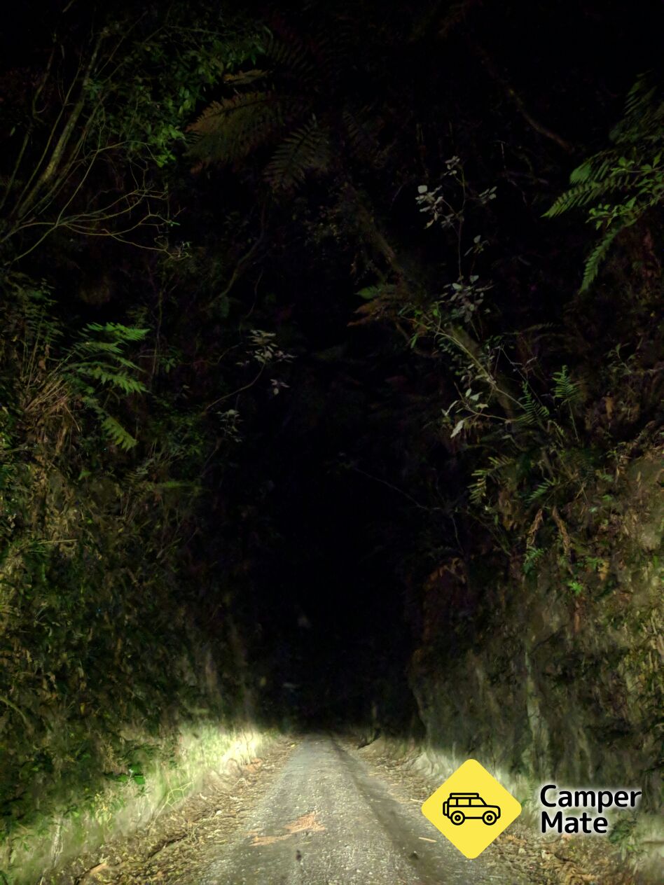 Kakahi Glow Worms előnyei - Image 3