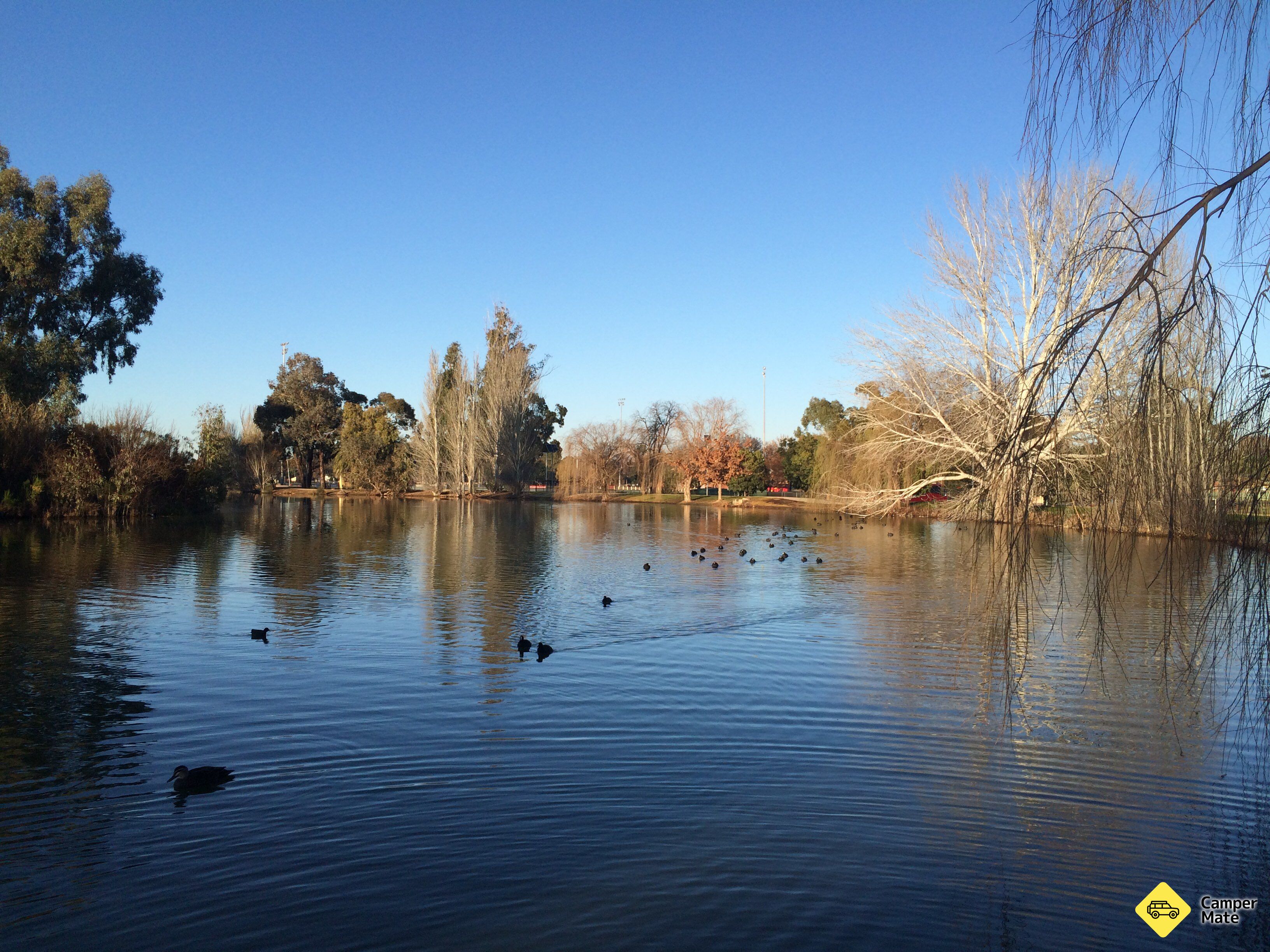 Maryborough Caravan Park के बारे में राय - Image 2