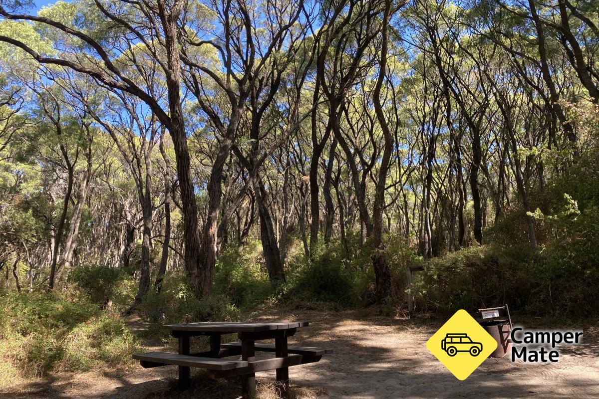 Boranup Campground - Image 3