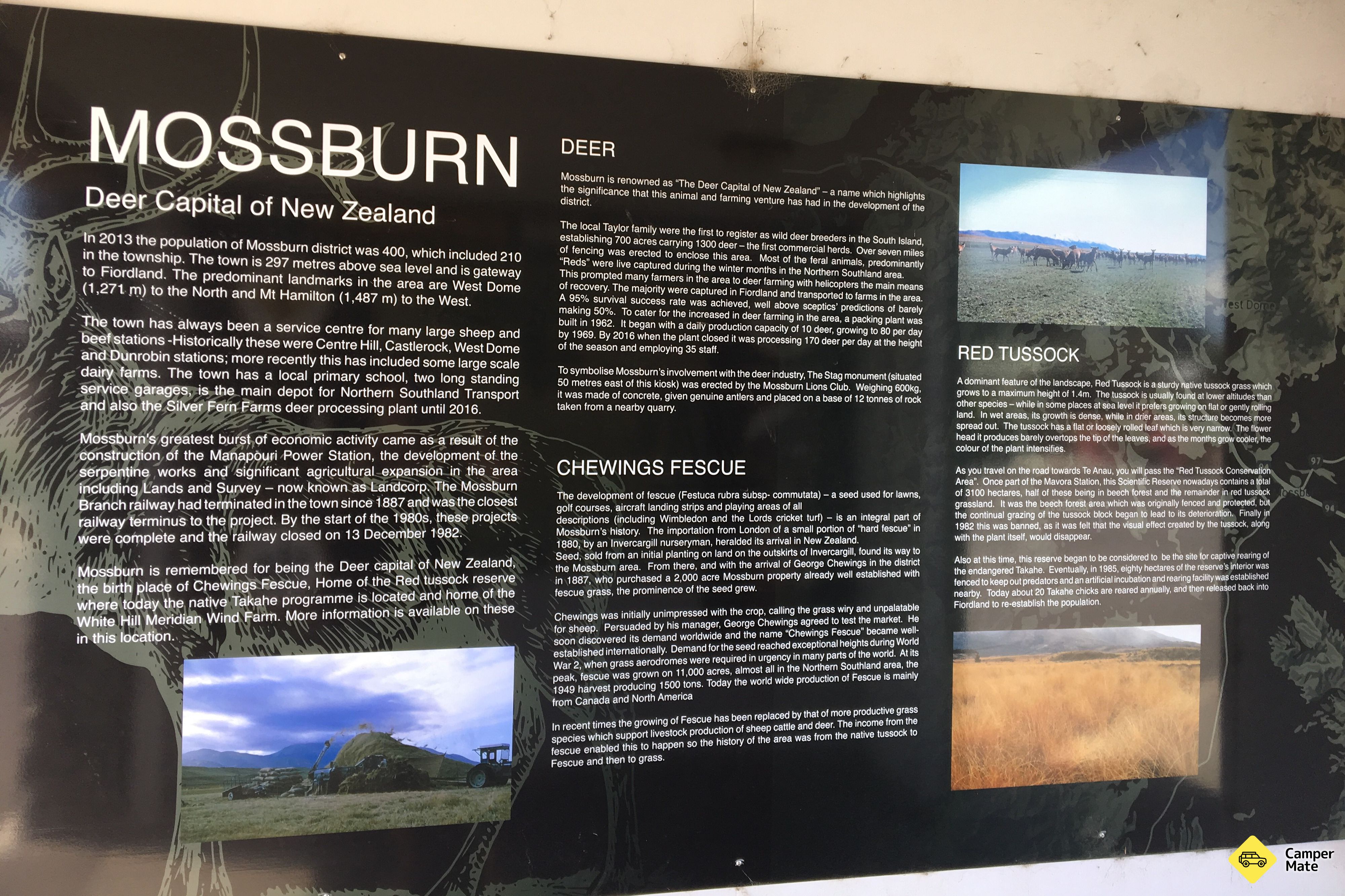 Dunsdale Recreational Reserve - Image 3