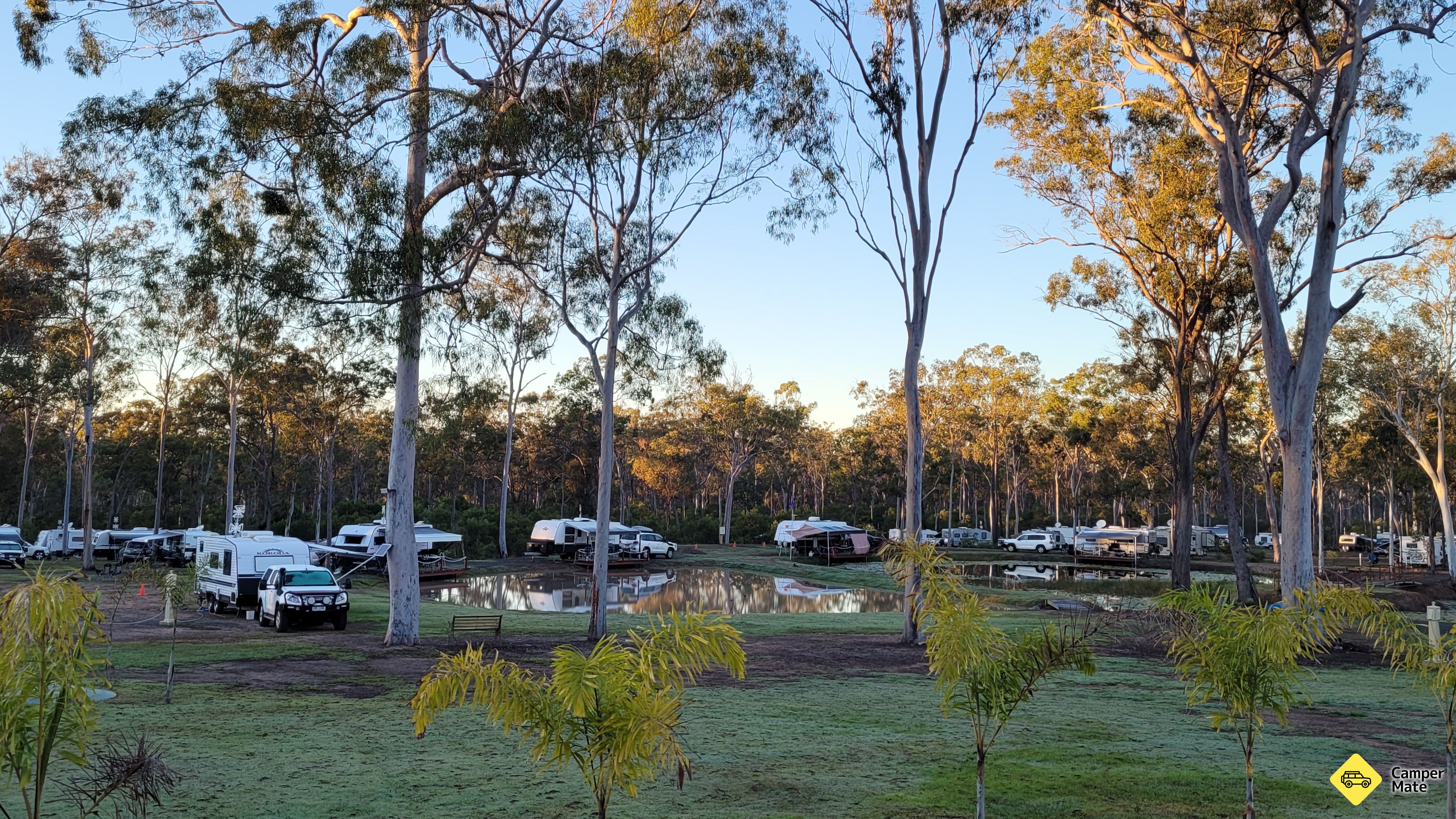 Gum Tree Lodge and Bush Camp