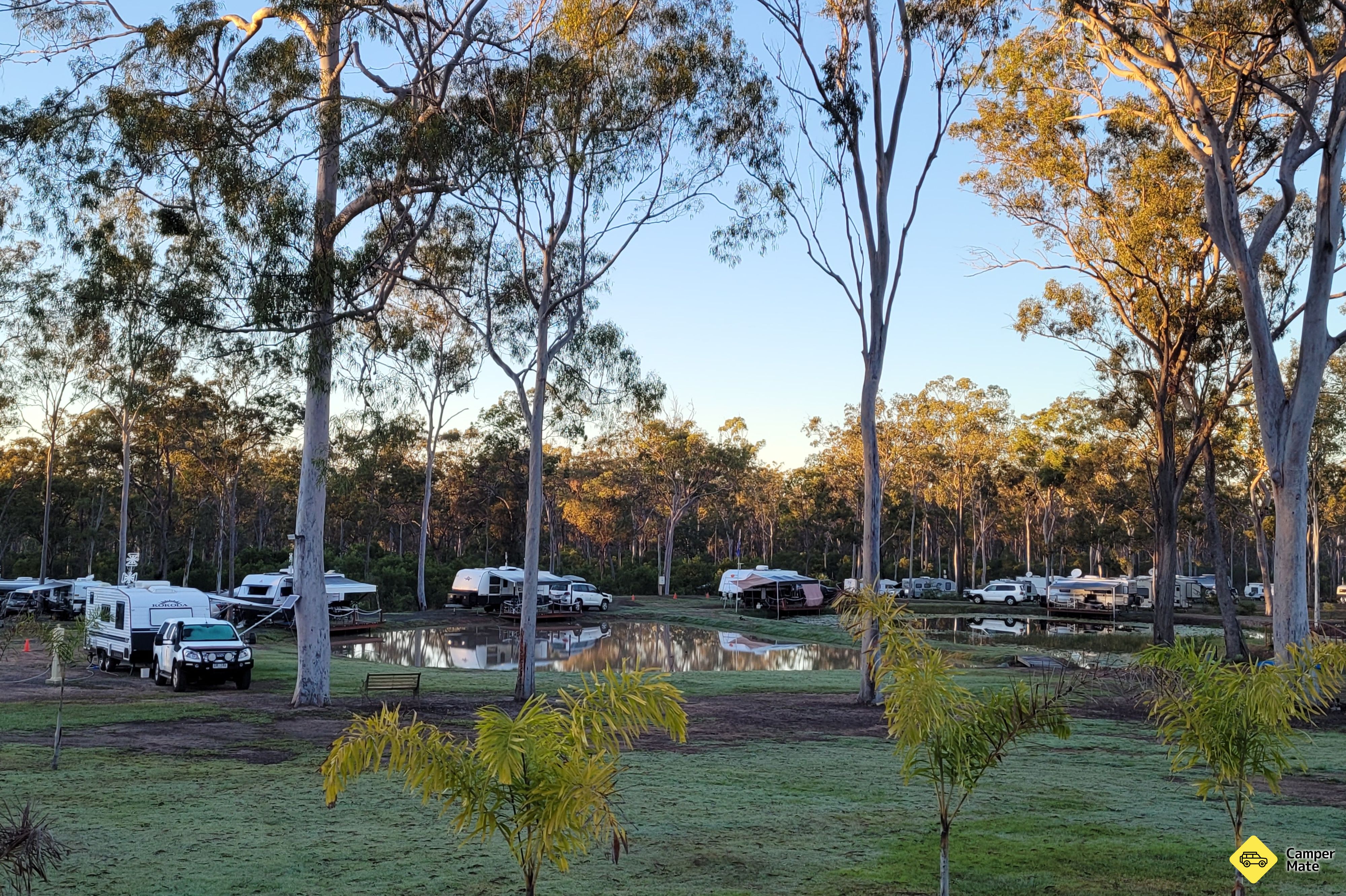 Gum Tree Lodge and Bush Camp
