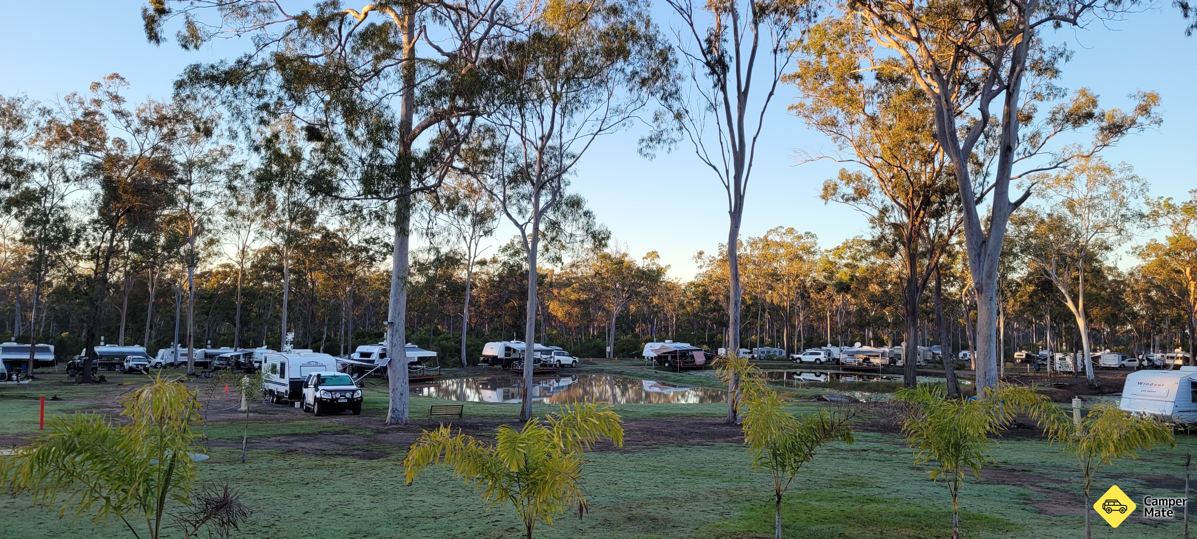 Gum Tree Lodge and Bush Camp