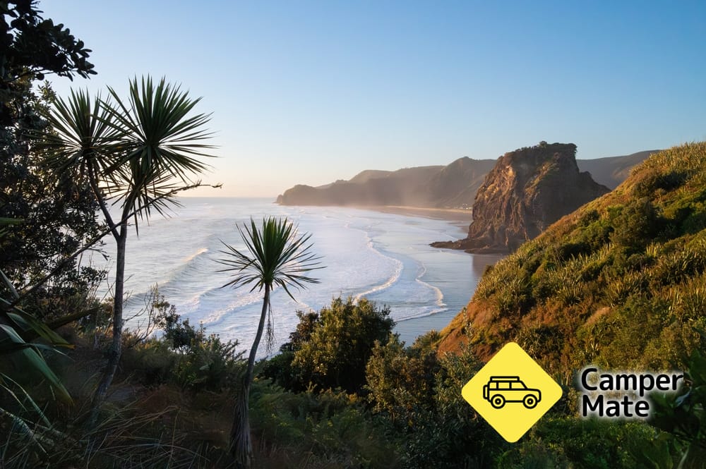 Tasman Lookout