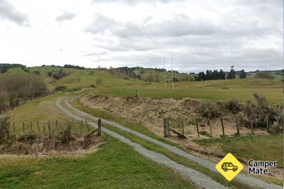 Benneydale Domain