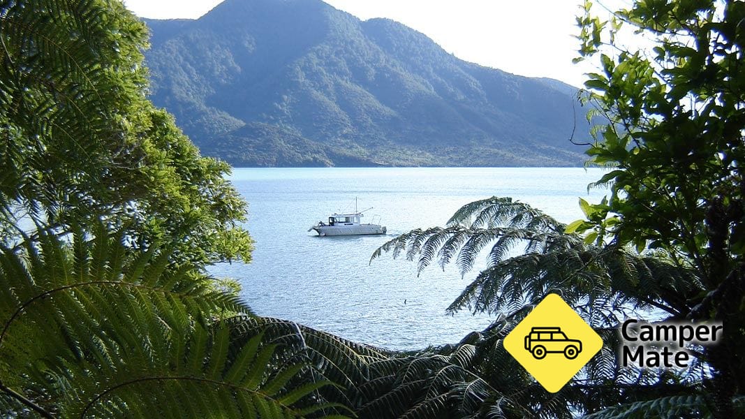 Putanui Point Campsite