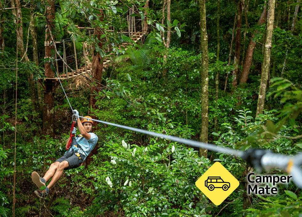 Treetops Adventure Cape Tribulation के बारे में टिप्पणियाँ - Image 2