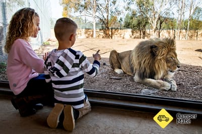 Aktivitäten in der Nähe von Taronga Western Plains Zoo