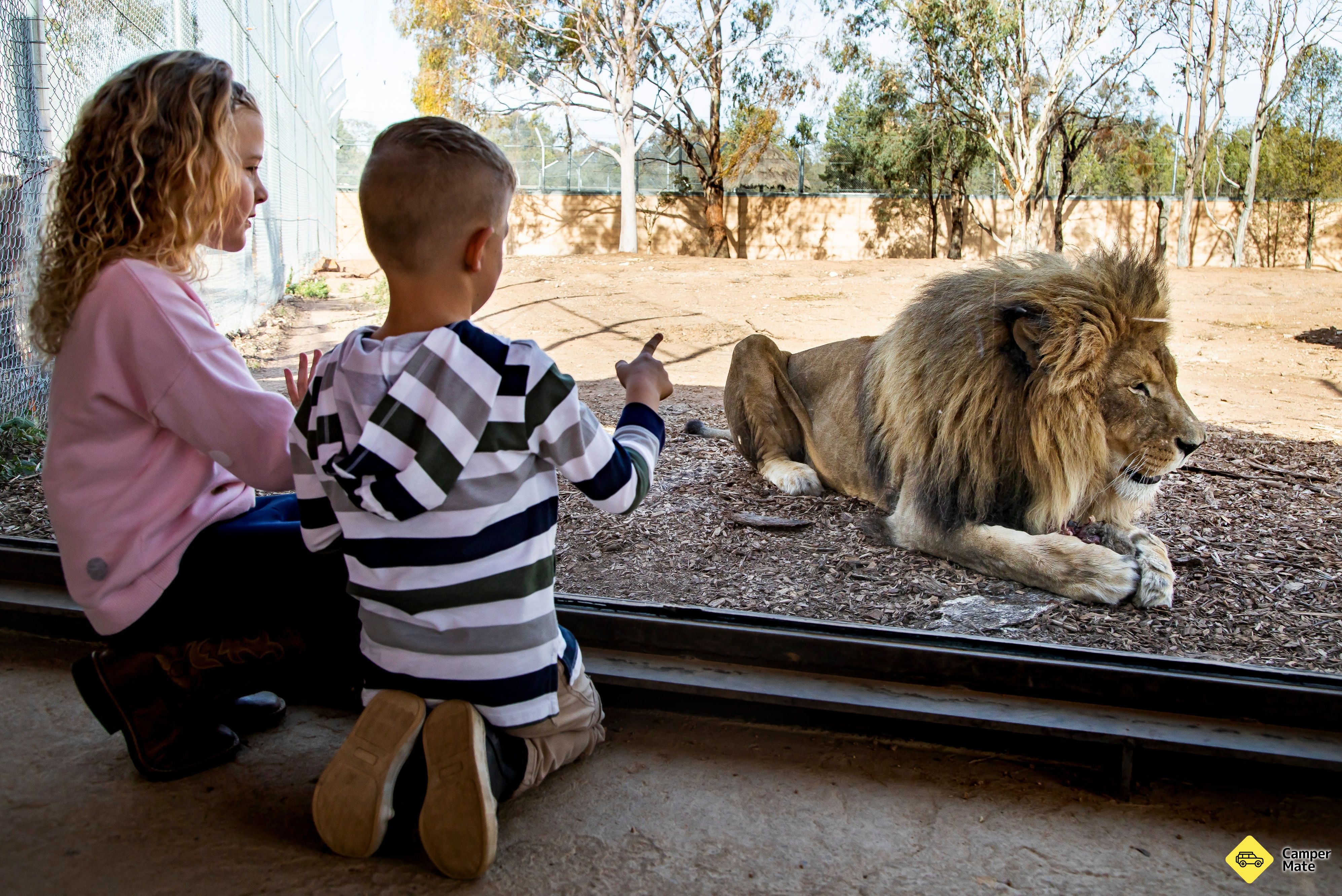 Aktivitäten in der Nähe von Taronga Western Plains Zoo