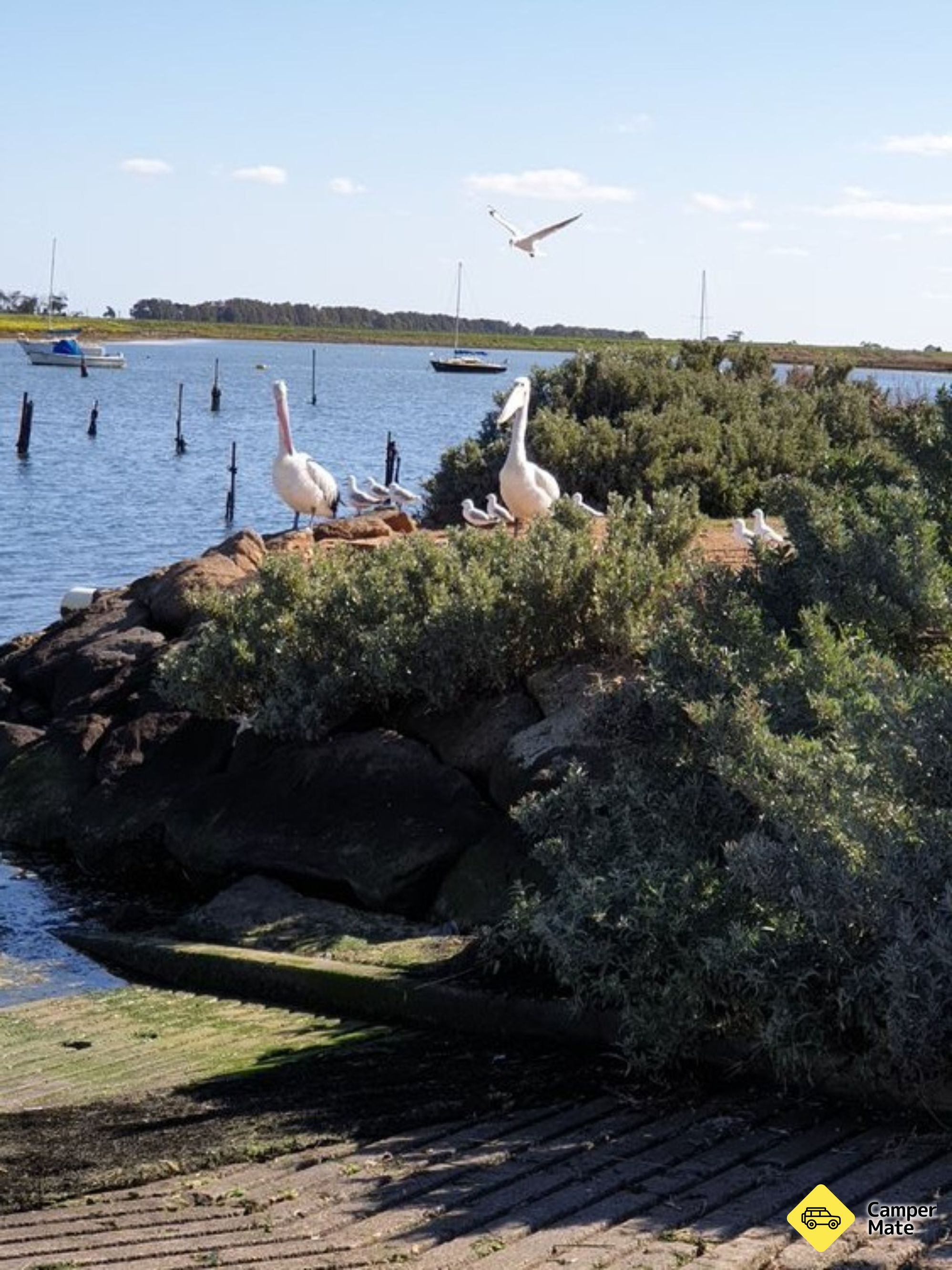 Szállodák itt: Wyndham Cove Werribee - Image 3