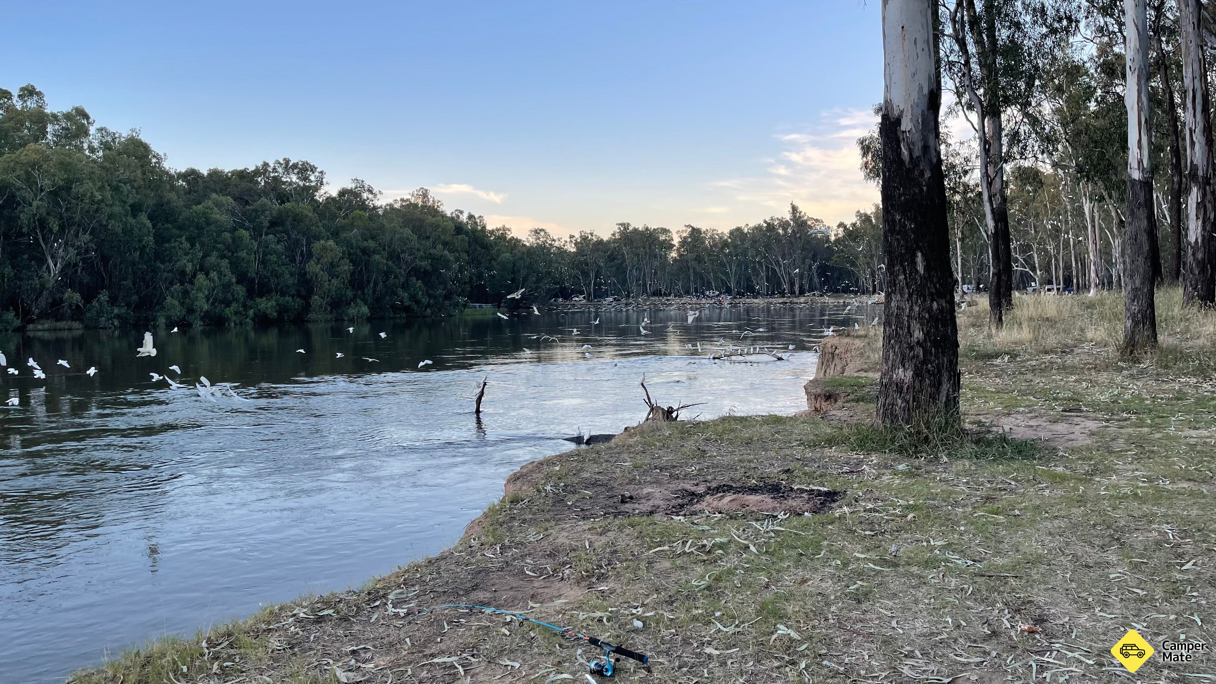 Granthams Bend Camping - Image 3
