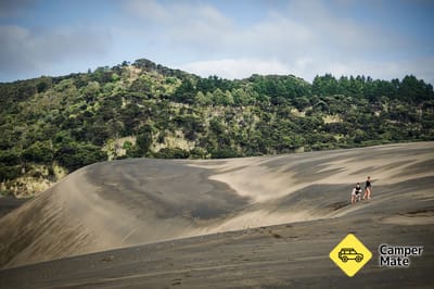 Te Henga Sand Dunes - Behtells Beach