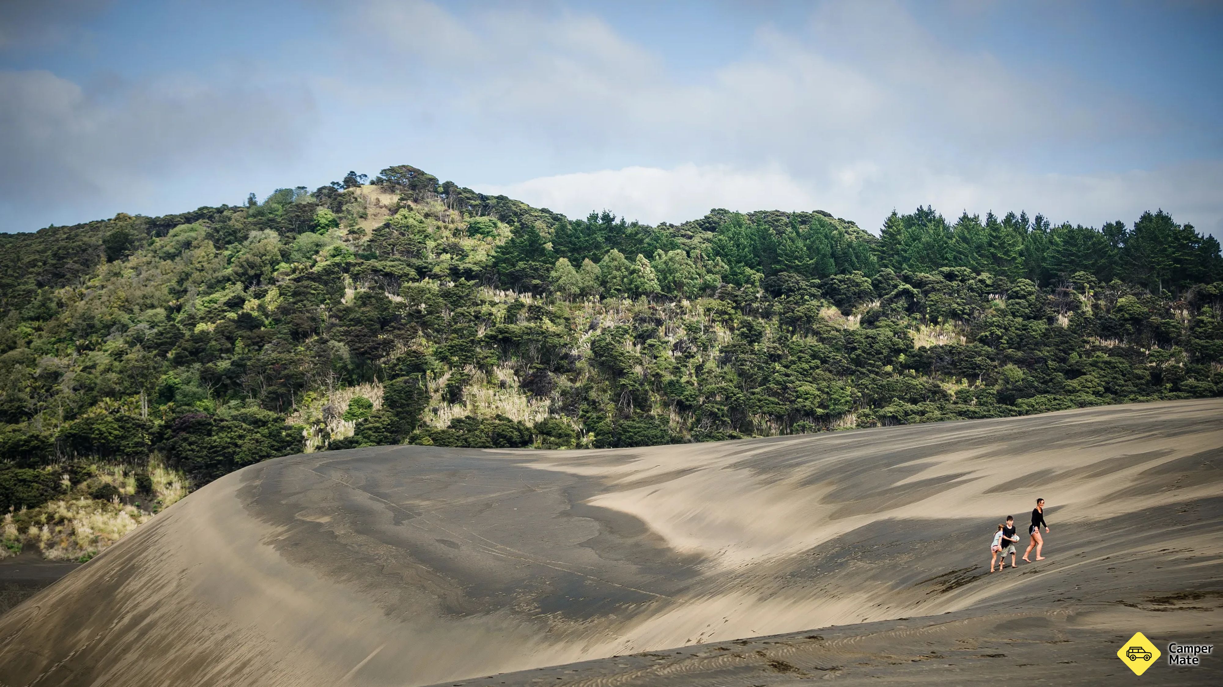 Te Henga Sand Dunes - Behtells Beach 부근의 호텔