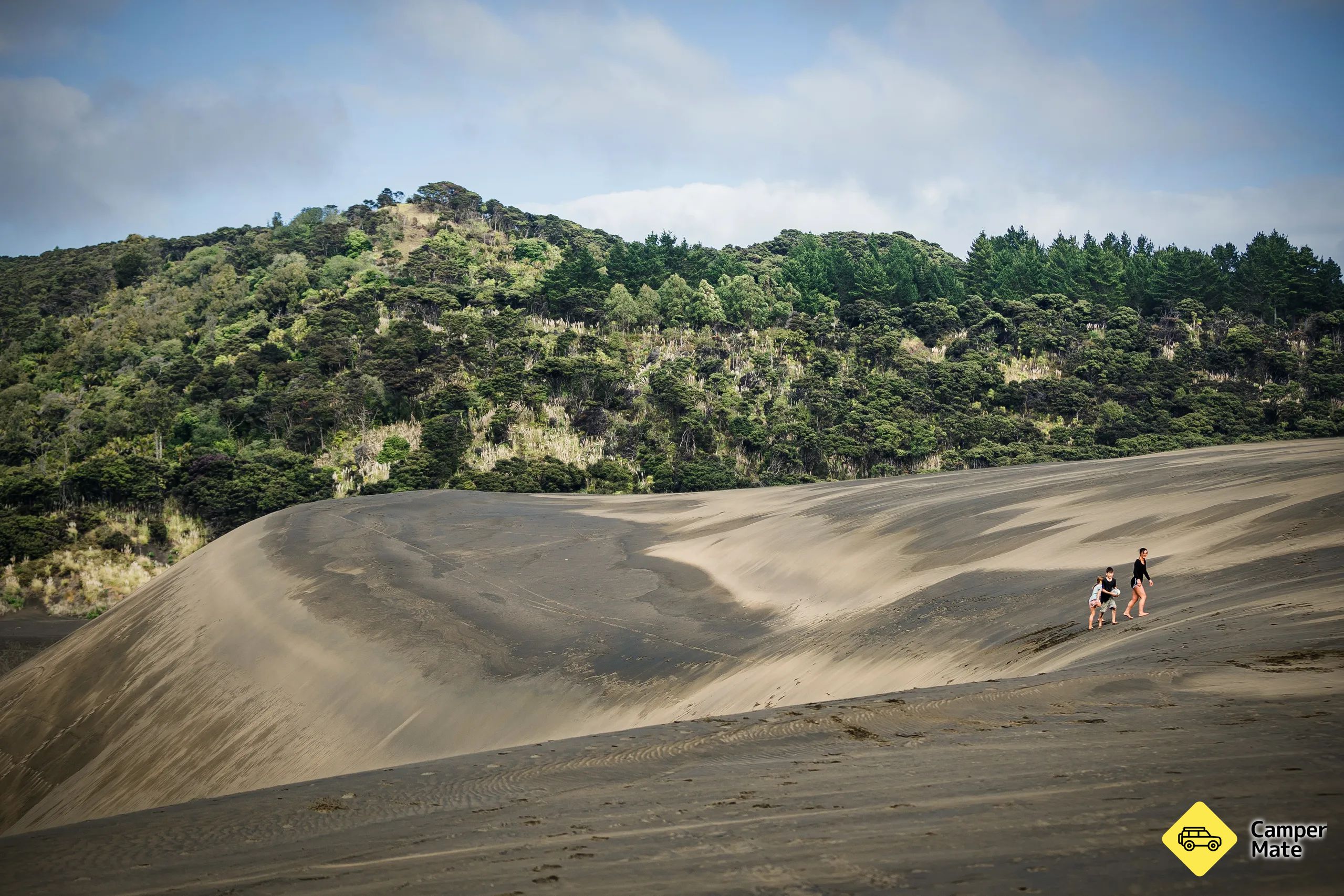 Te Henga Sand Dunes - Behtells Beach