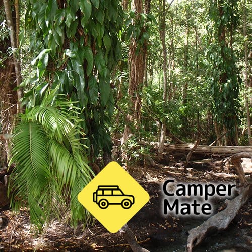 Manngarre Rainforest Walk
