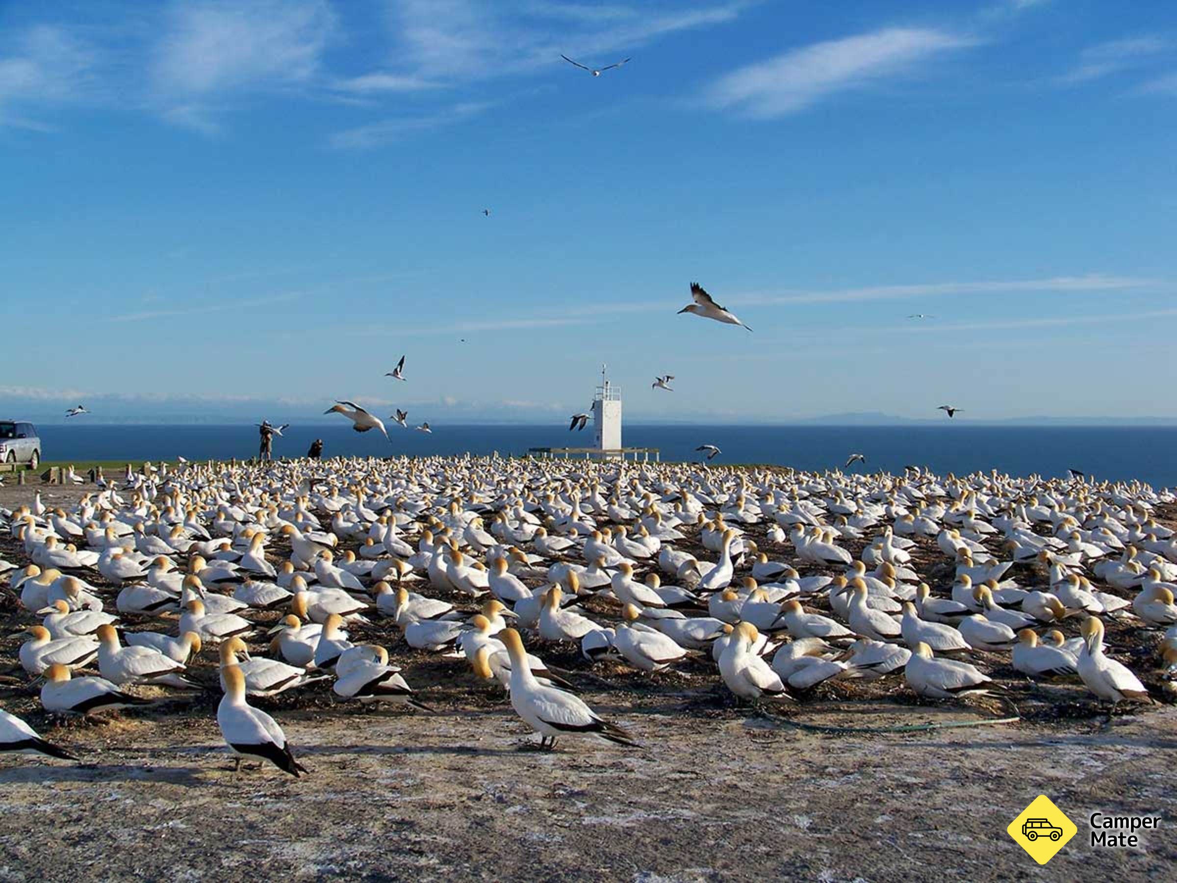 Gannet Safaris Overland - Image 2