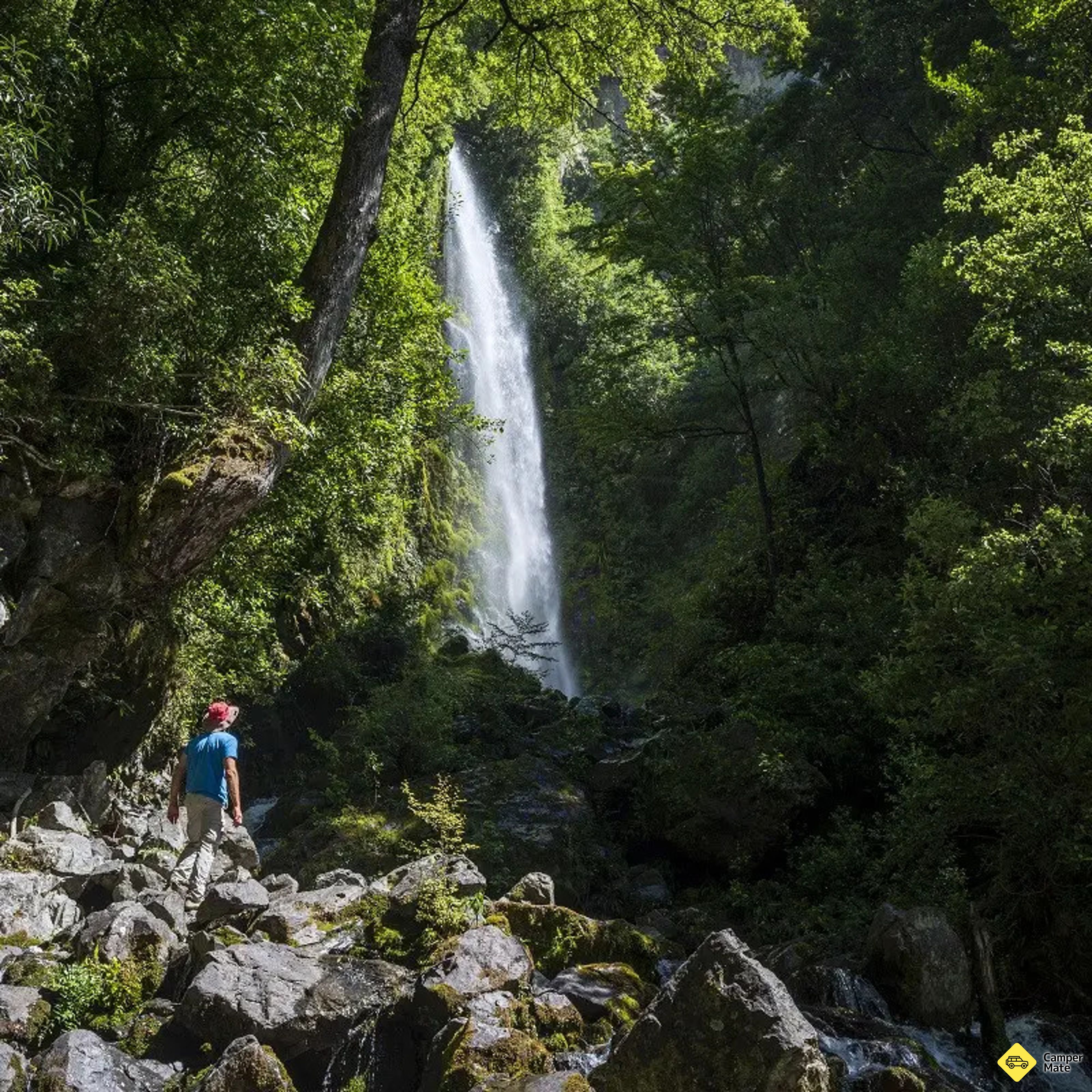 Lakeside Track a Whisky Falls - Image 2