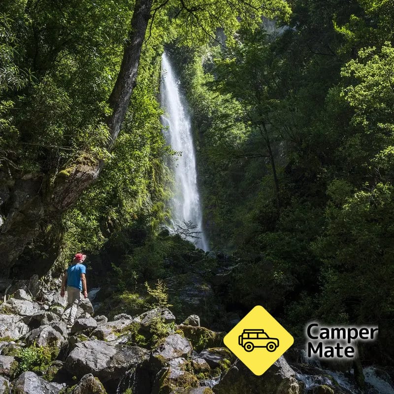 Lakeside Track and Whisky Falls - Image 2