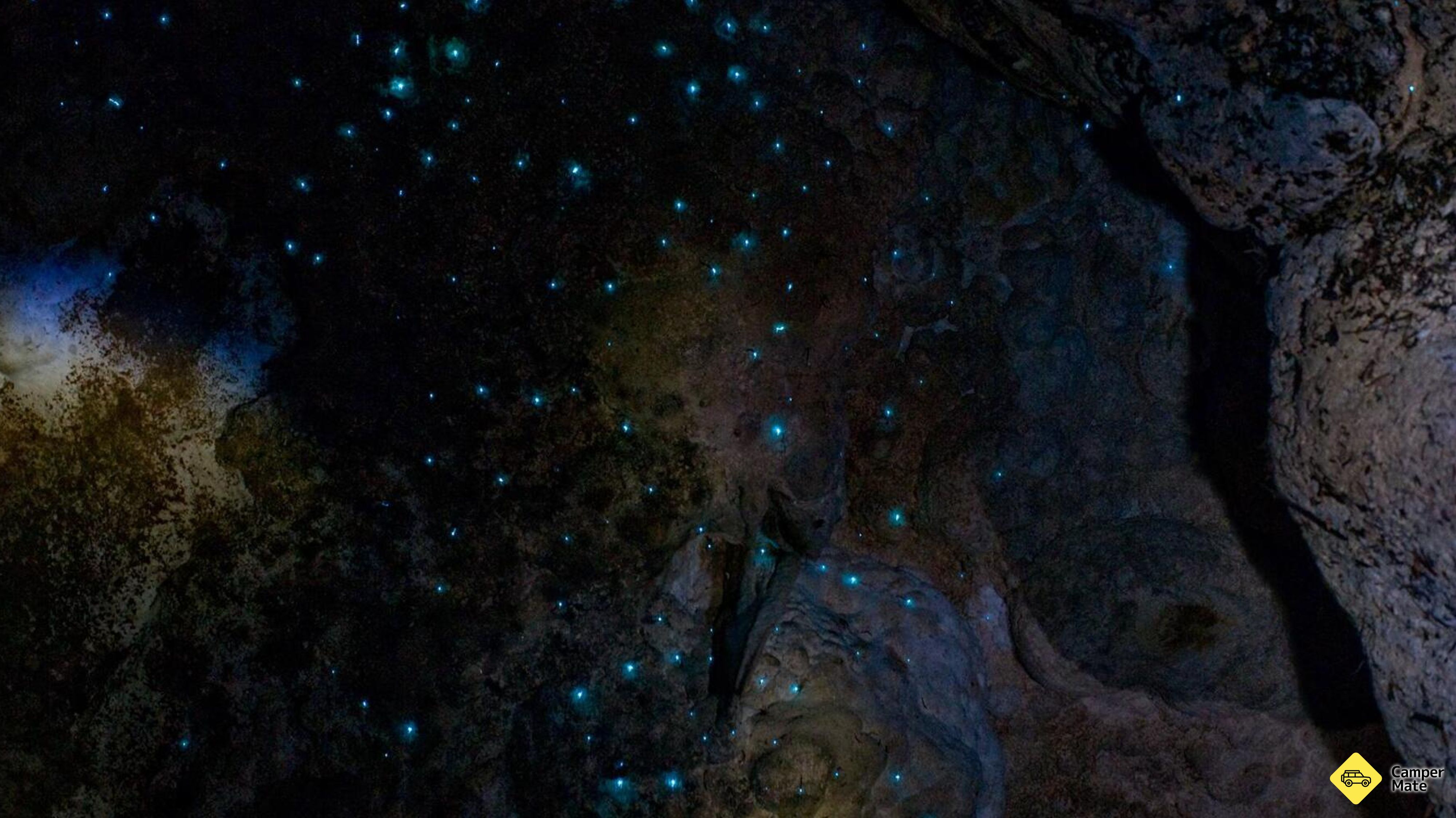 Kawiti Glow 蠕虫洞