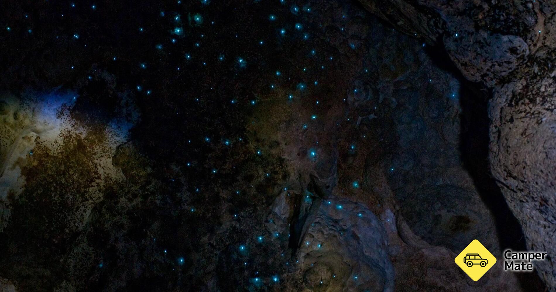 Kawiti Glow Worm Caves के बारे में राय