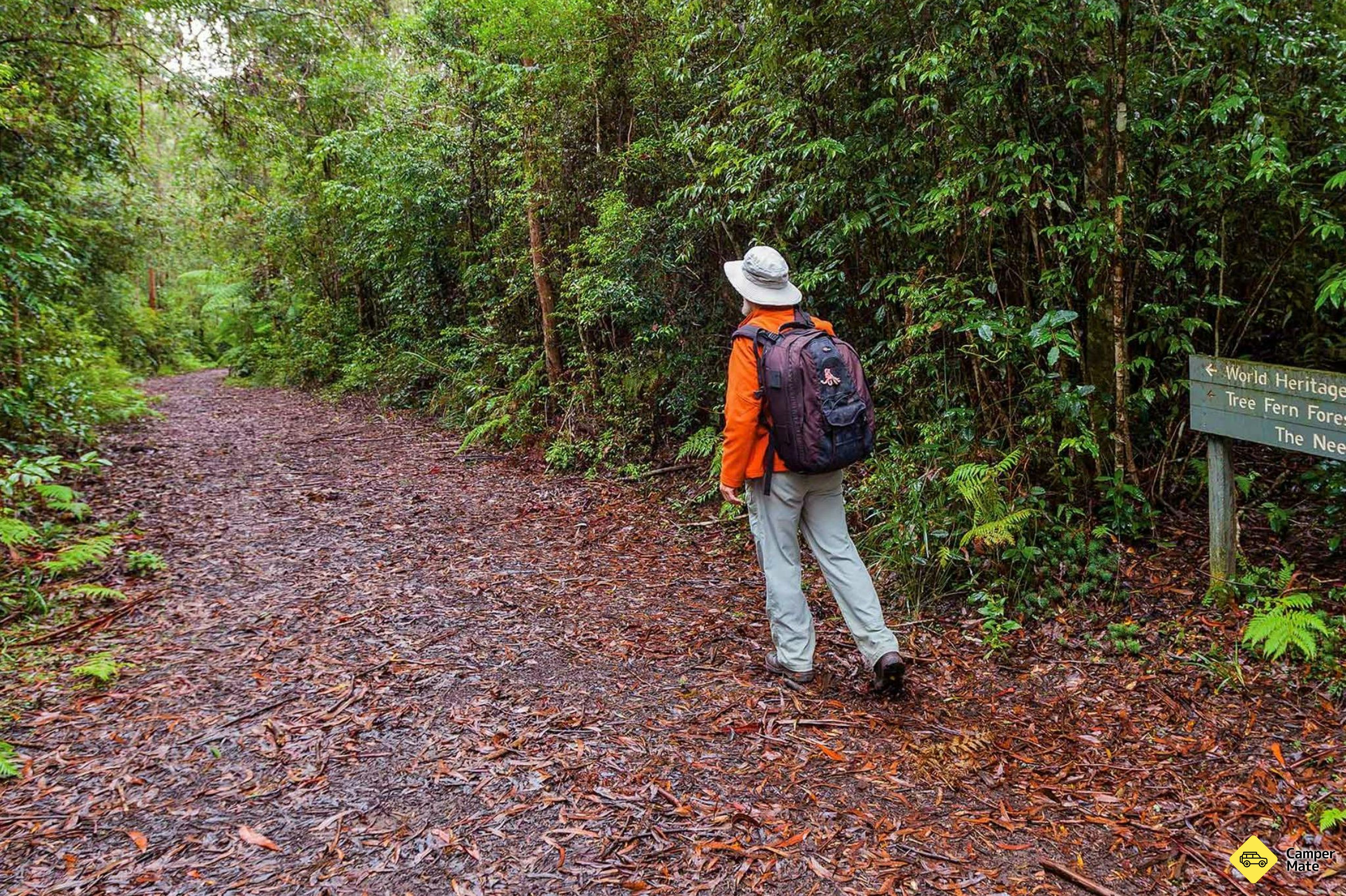 Washpool Walk - Image 3