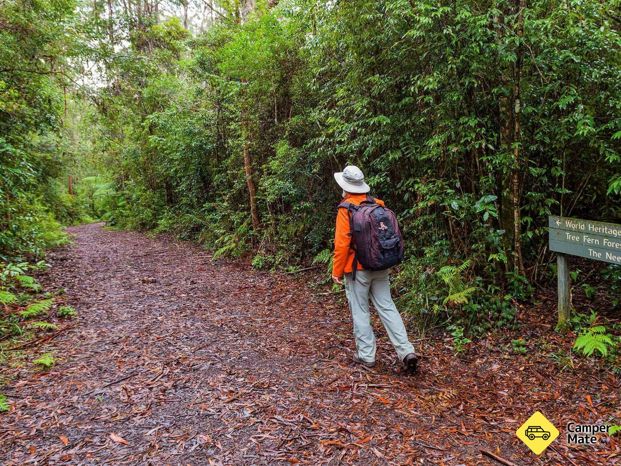 Washpool Walk - Image 3