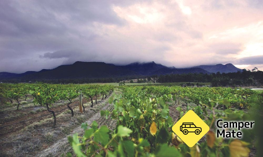 Hunter Valley Wine และ Cheese Tasting ประสบการณ์ - Image 2