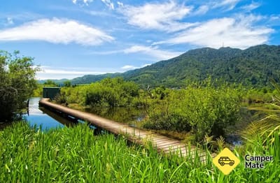 Howarth Memorial Wetlands Walk Te Aroha