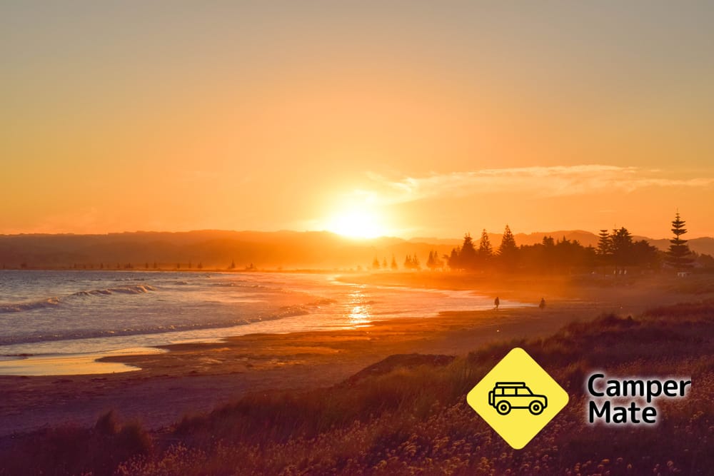 Waikanae Beach and Reserve - Image 2