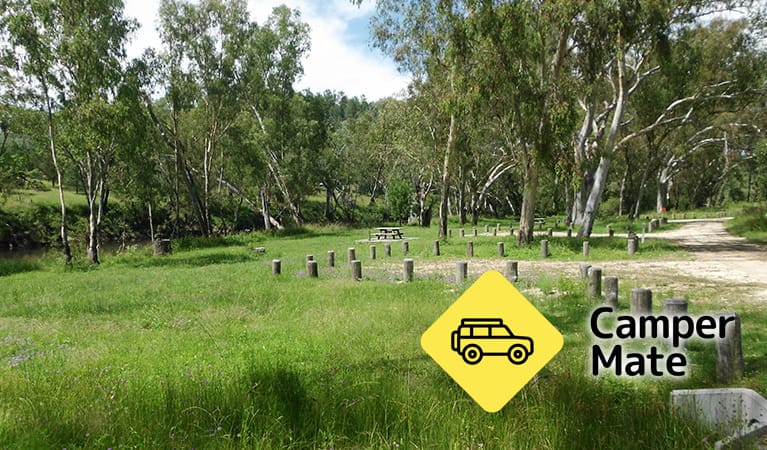 Kookibitta Campground - Image 2