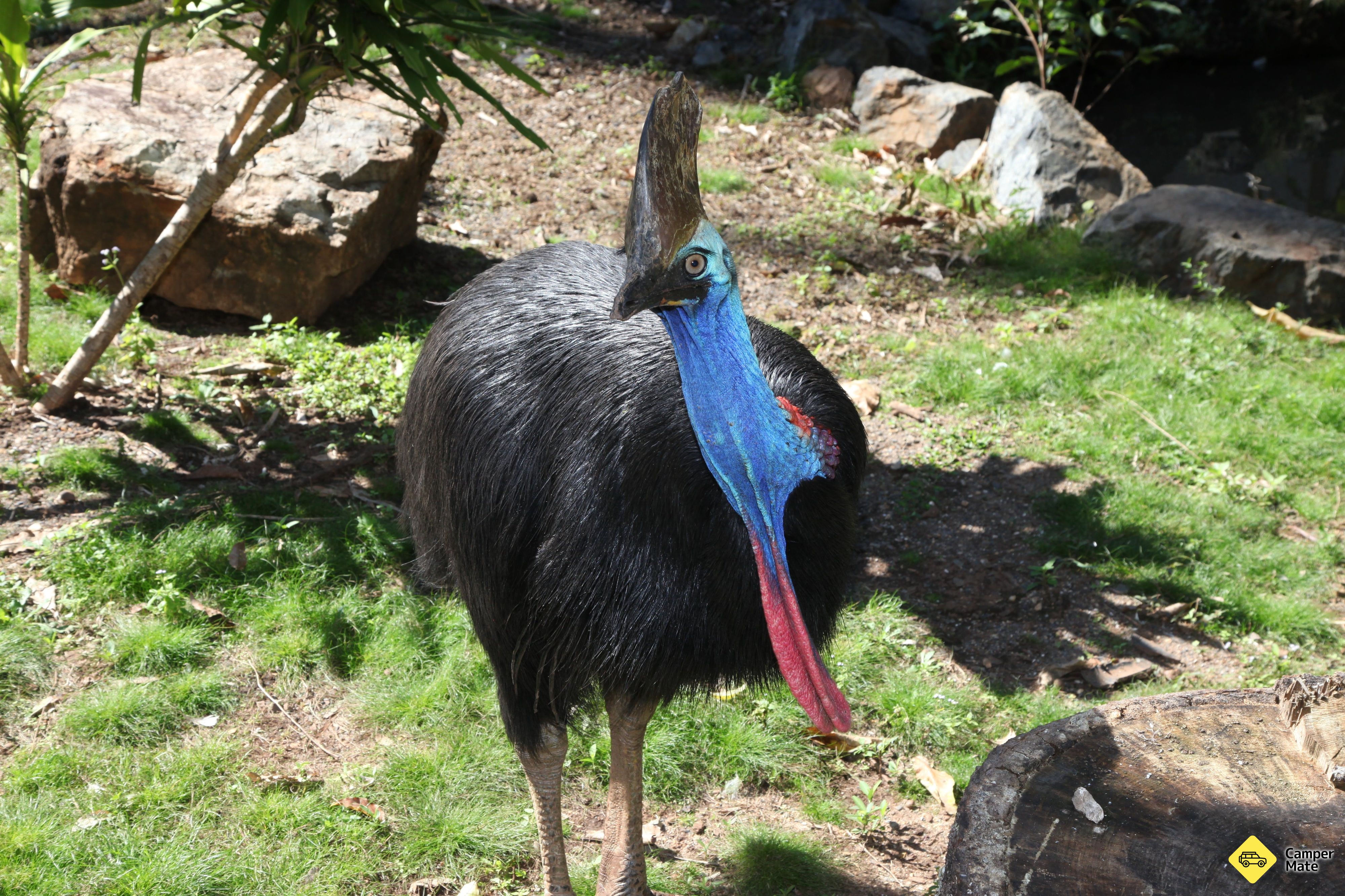 Ubytování Cooberrie Park Wildlife Sanctuary - Image 3