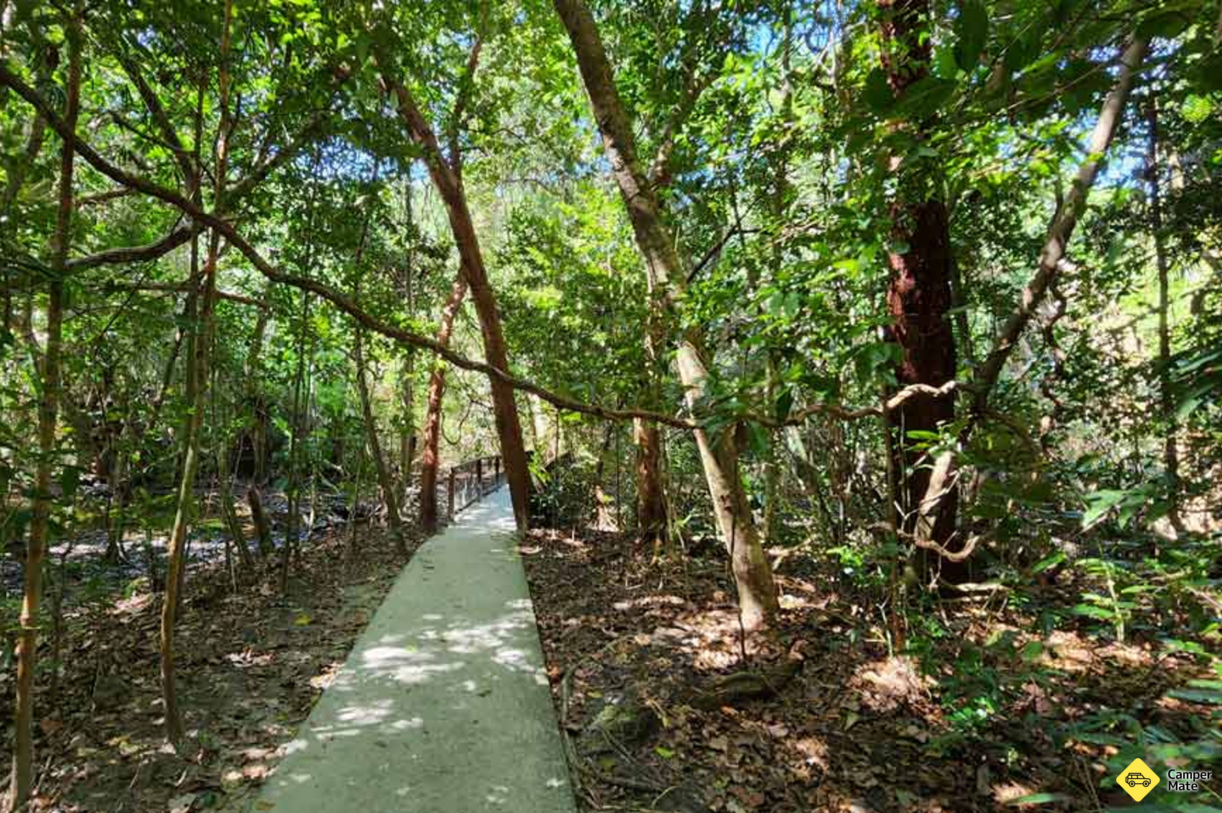Kulki Boardwalk - Image 2