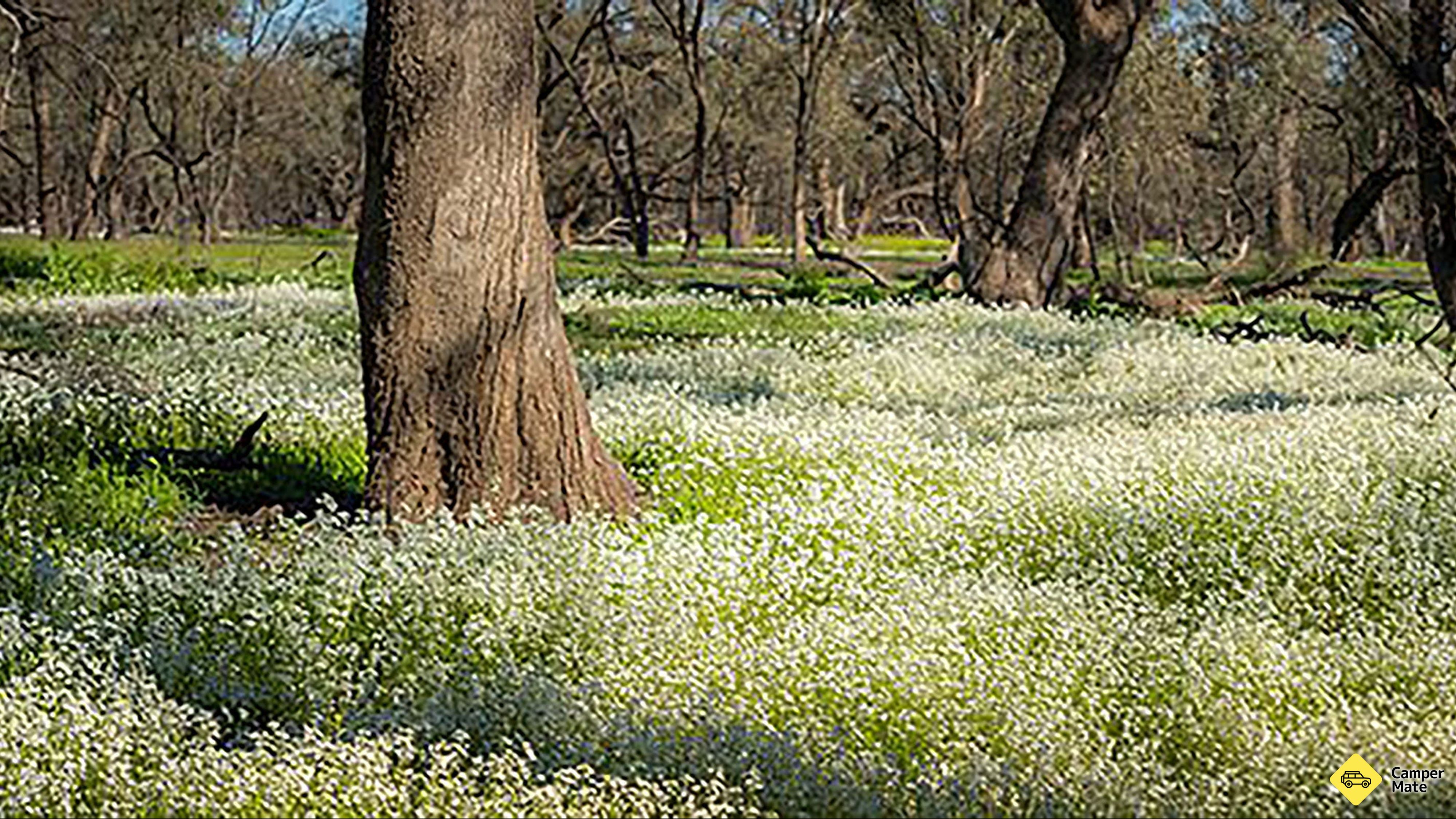 Leaghur statlige park