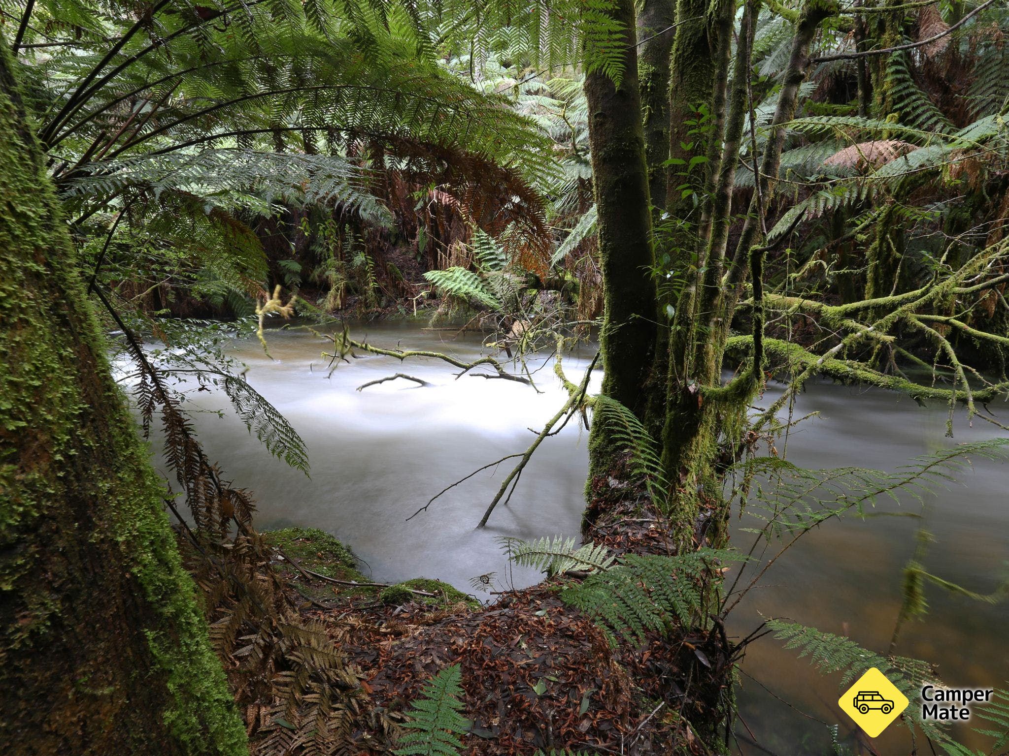 Marriotts Falls und Junee Caves