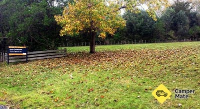 Brook Homestead Campground 