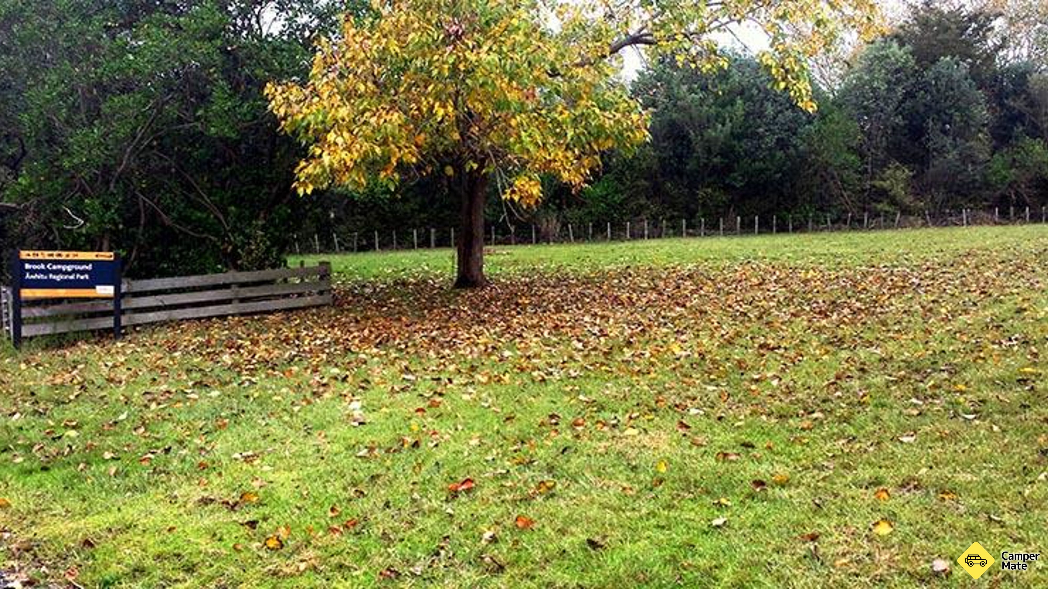 Brook Homestead Campground
