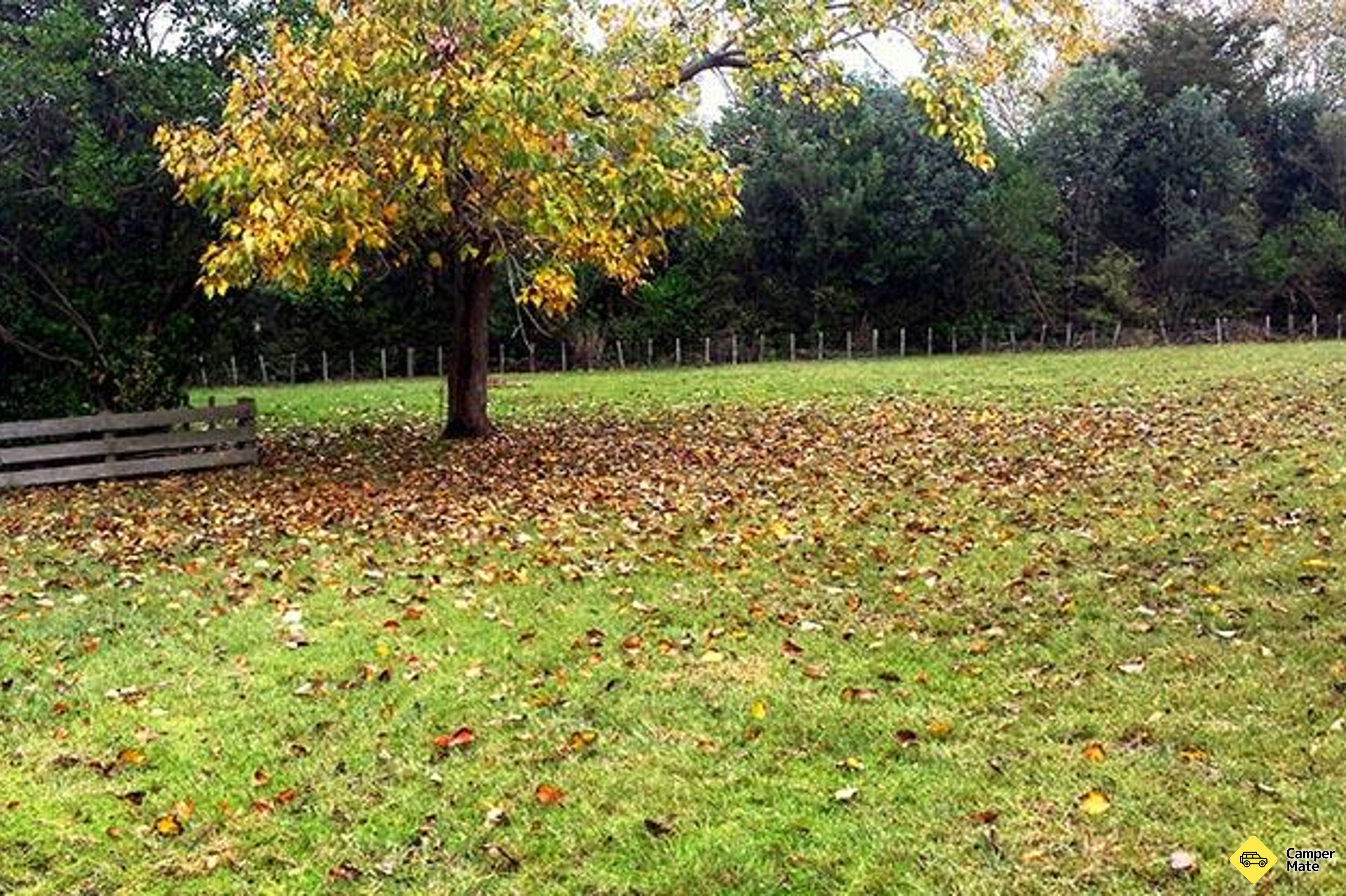 Brook Homestead Campground