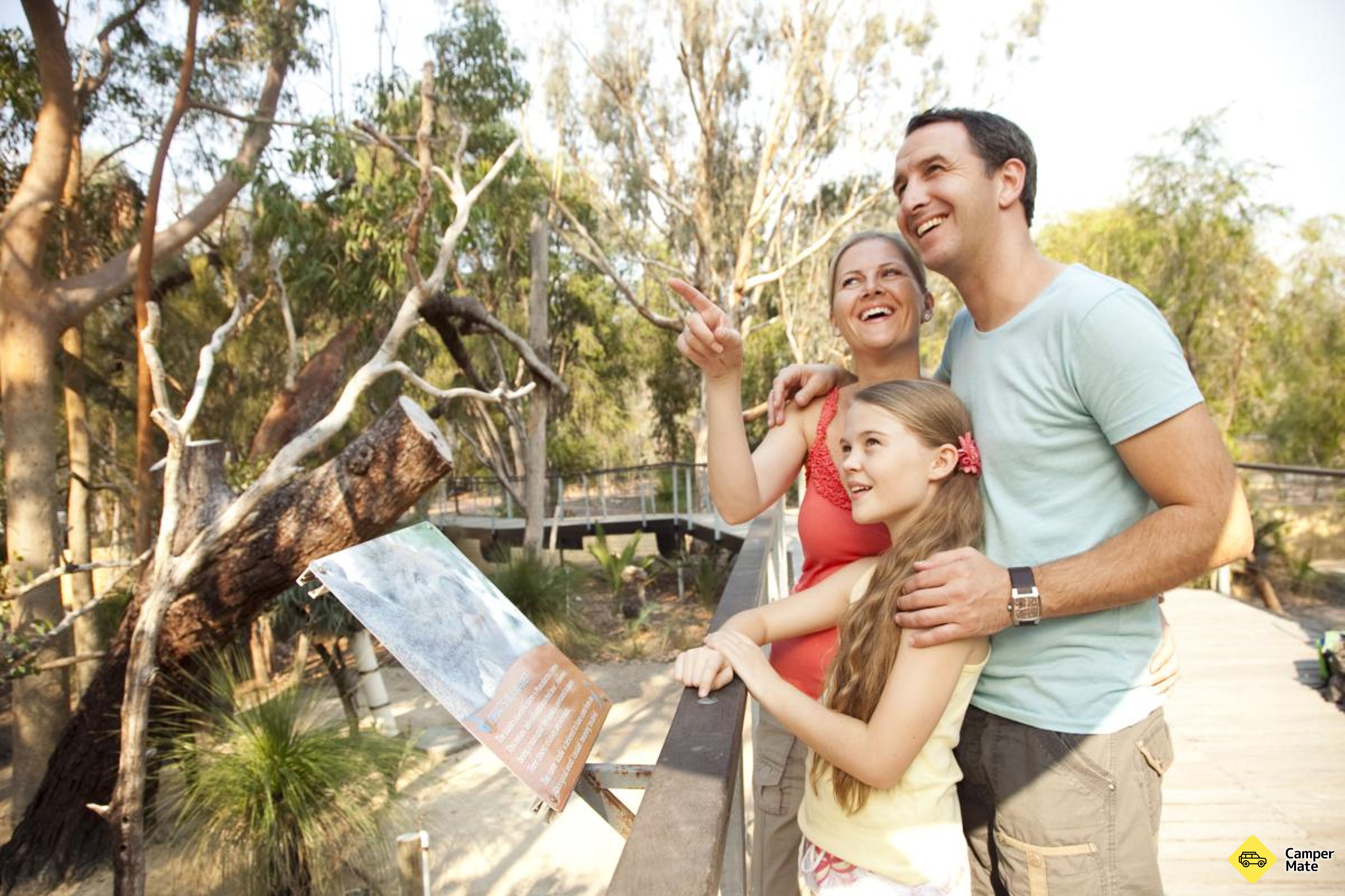 Om Koala Boardwalk - Image 3