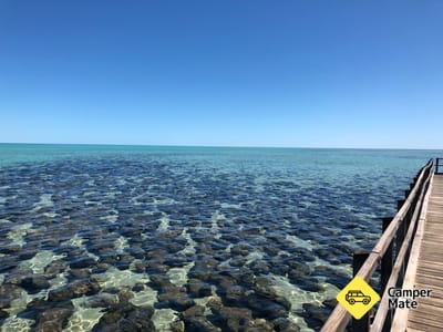 Hamelin Pool Marine Nature Reserve
