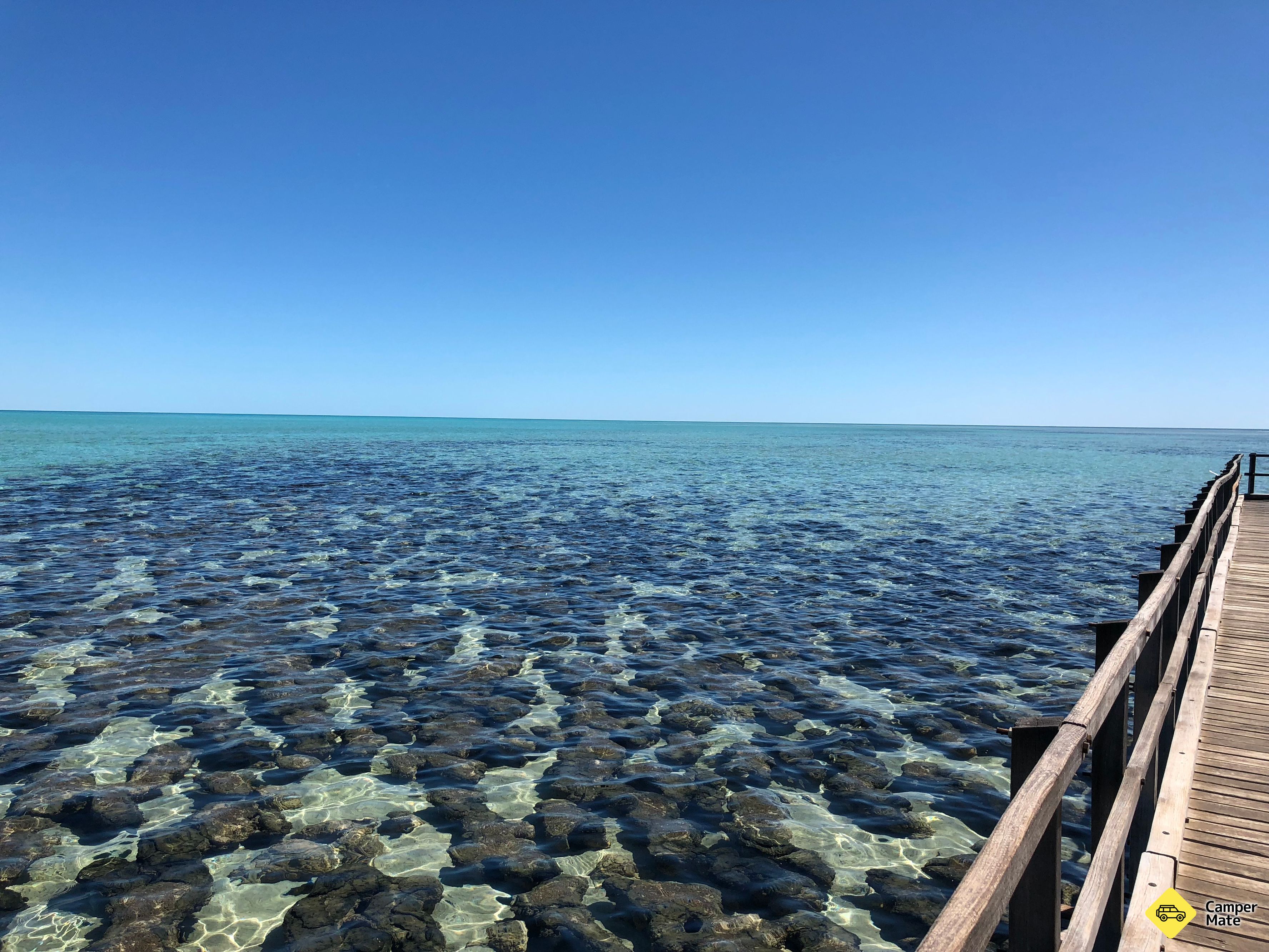 Hamelin Pool Marine Nature Reserve