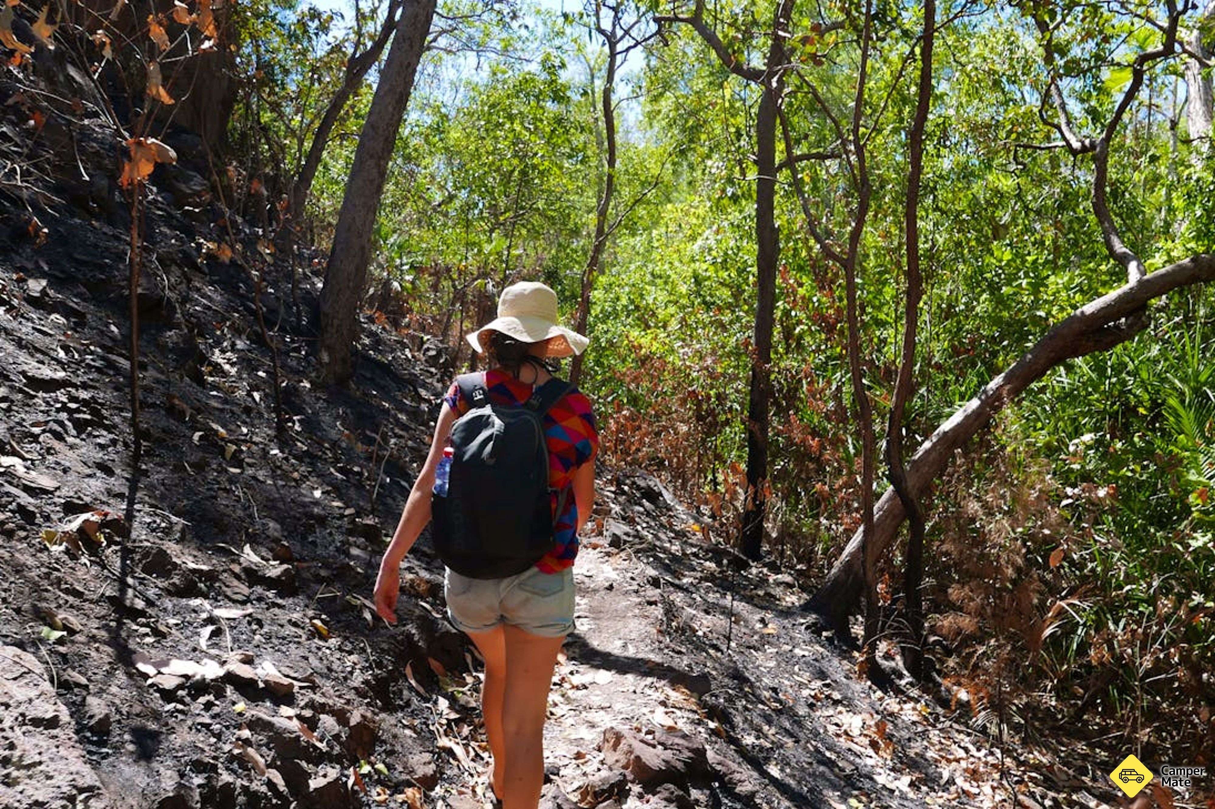 Tjaynera Falls and Walk - Image 3